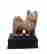 item-42146353=3