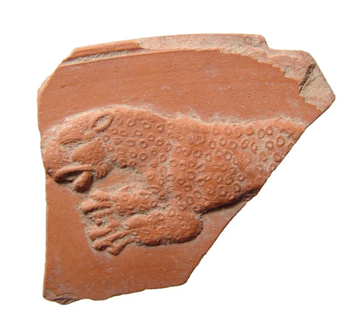 Roman red-ware sherd depicting a panther (1 of 2)