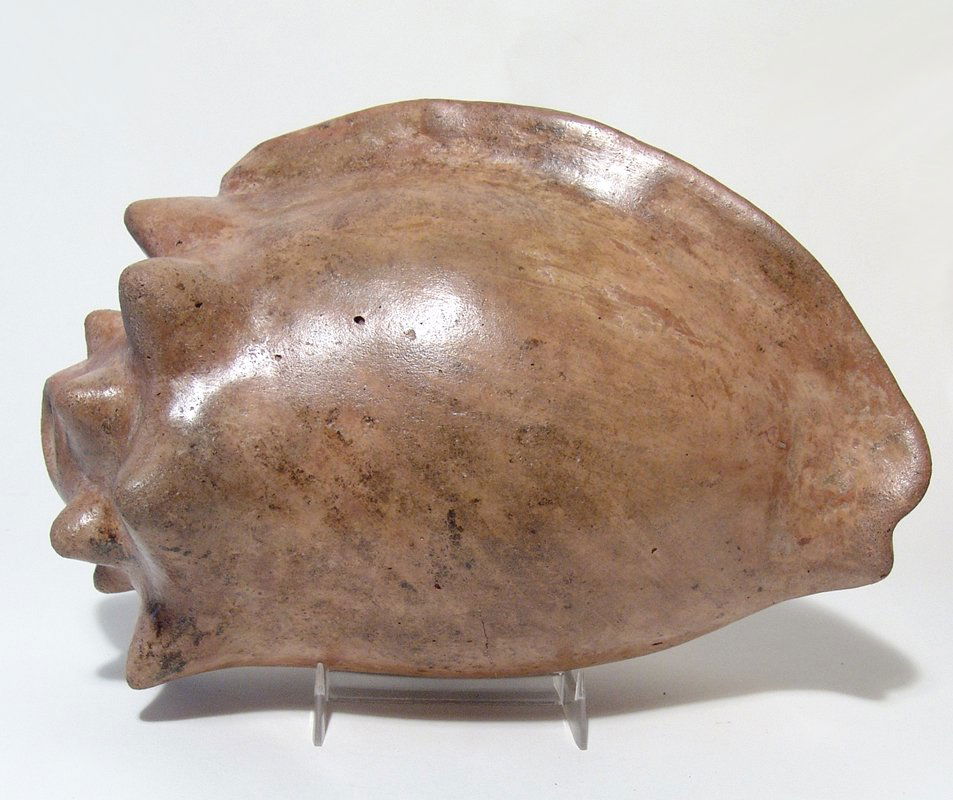 A large and beautiful Colima Conch shell trumpet (1 of 6)