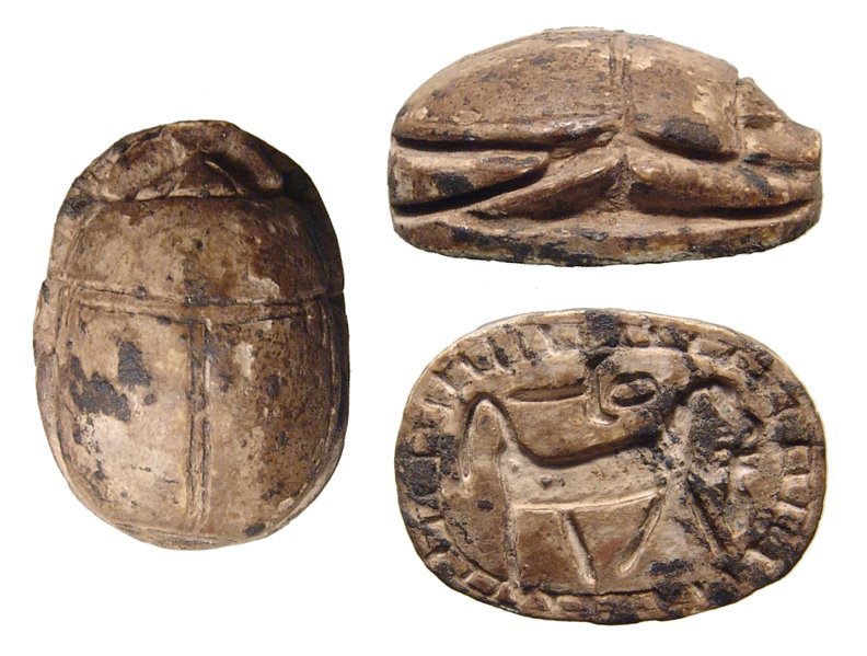 Egyptian steatite scarab, Late Middle Kingdom: An Egyptian steatite scarab, Late Middle Kingdom, c. 18th Century BC, the body nicely carved, on base a lion of hound with quarry in its mouth, an ankh sign above, all within hatched border. 21 x 15mm