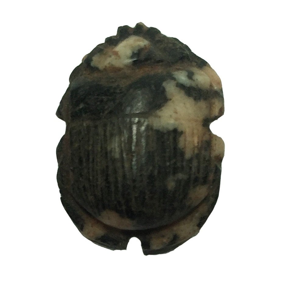 Egyptian speckled granite button scarab, Late Period (1 of 2)