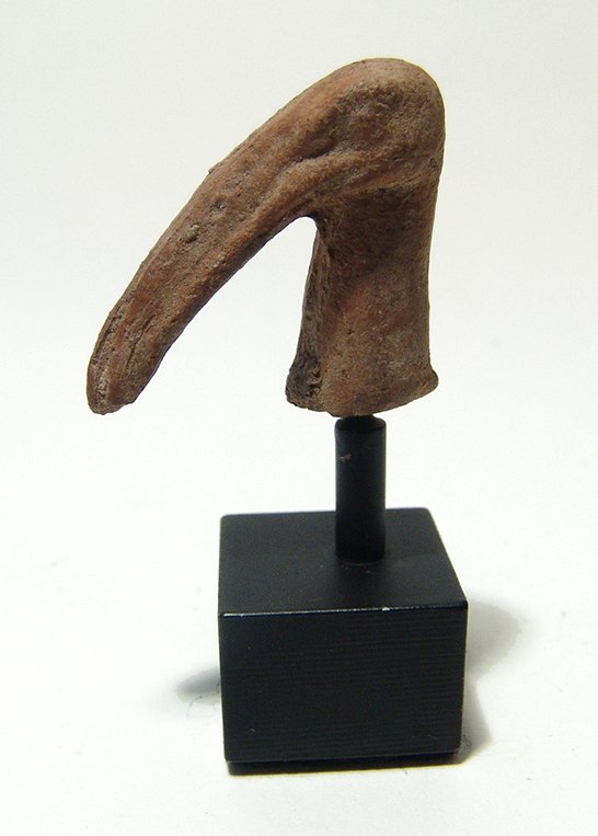 Egyptian terracotta head of an Ibis, Graeco-Roman (1 of 2)
