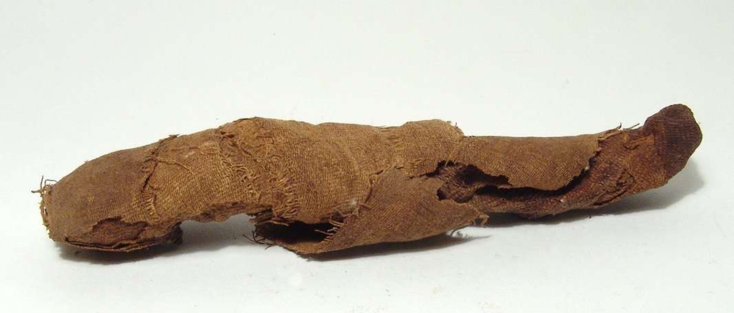 Egyptian mummified fish, Graeco-Roman (1 of 4)
