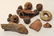 Mixed group of pottery fragments and spindle whorls