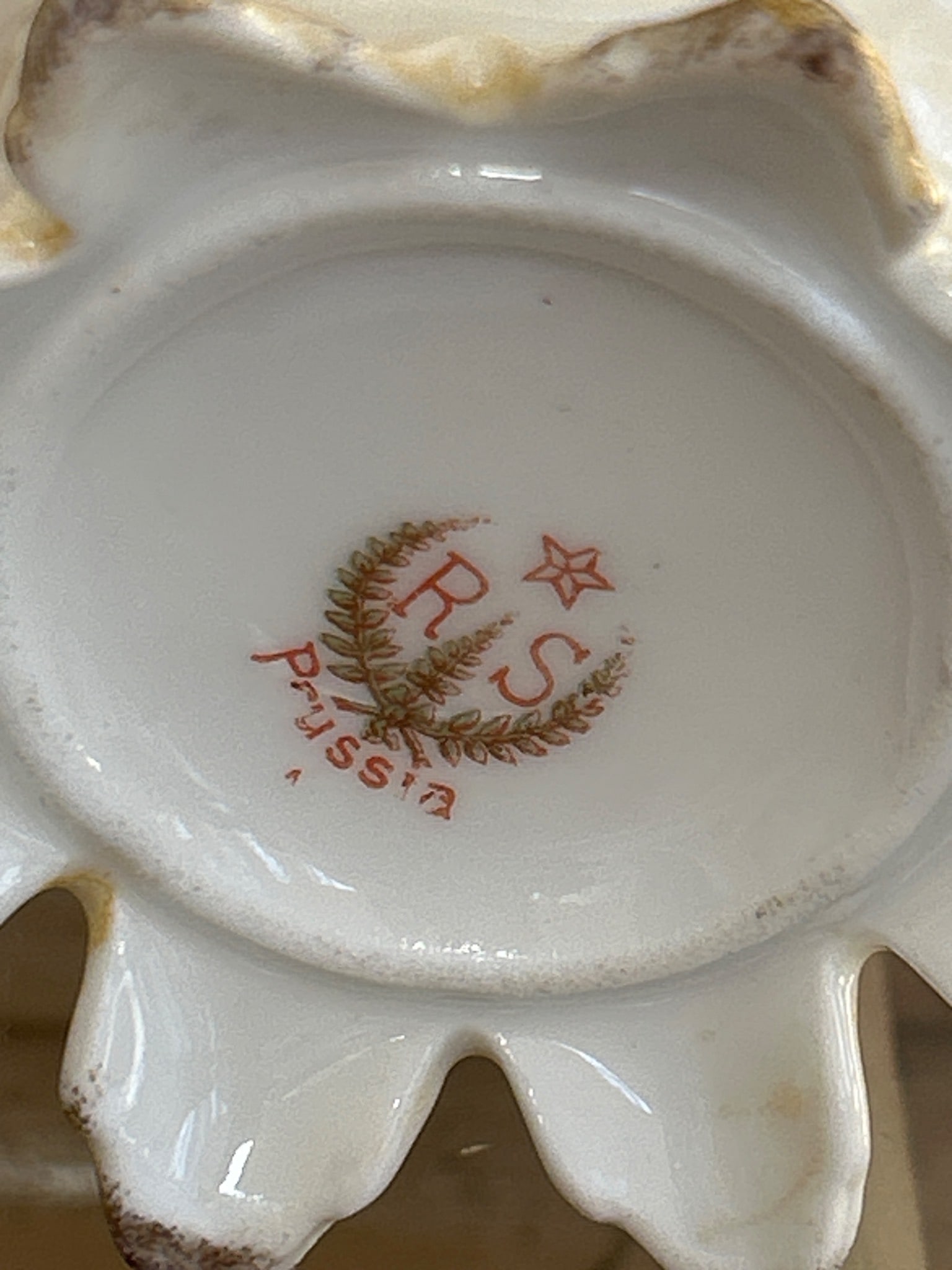 RS Prussia Porcelain Creamer and Sugar Bowl Set with Floral Decoration - 4