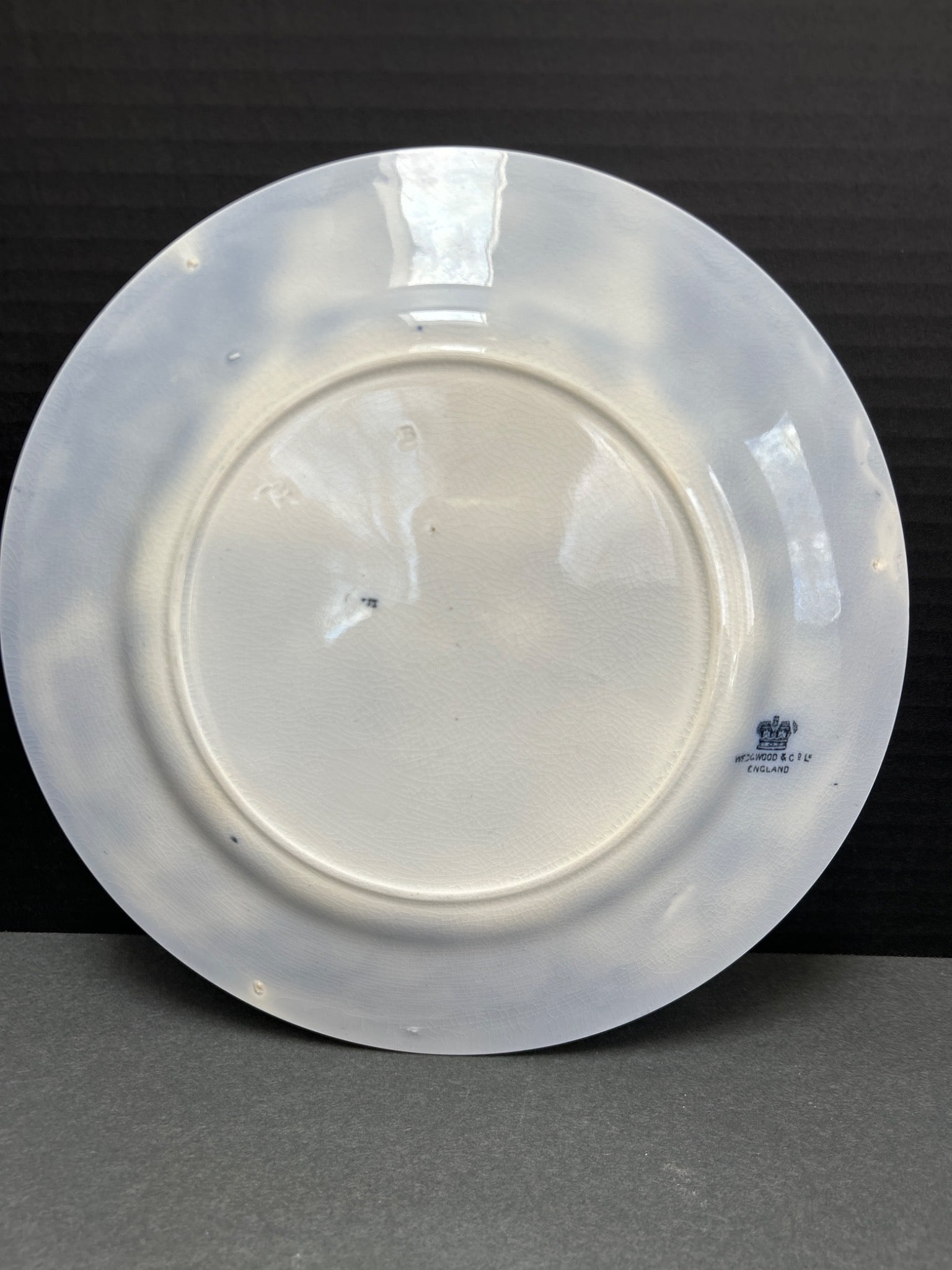 Wedgwood & Co Blue and White Transferware Plate with Scenic Design - 3