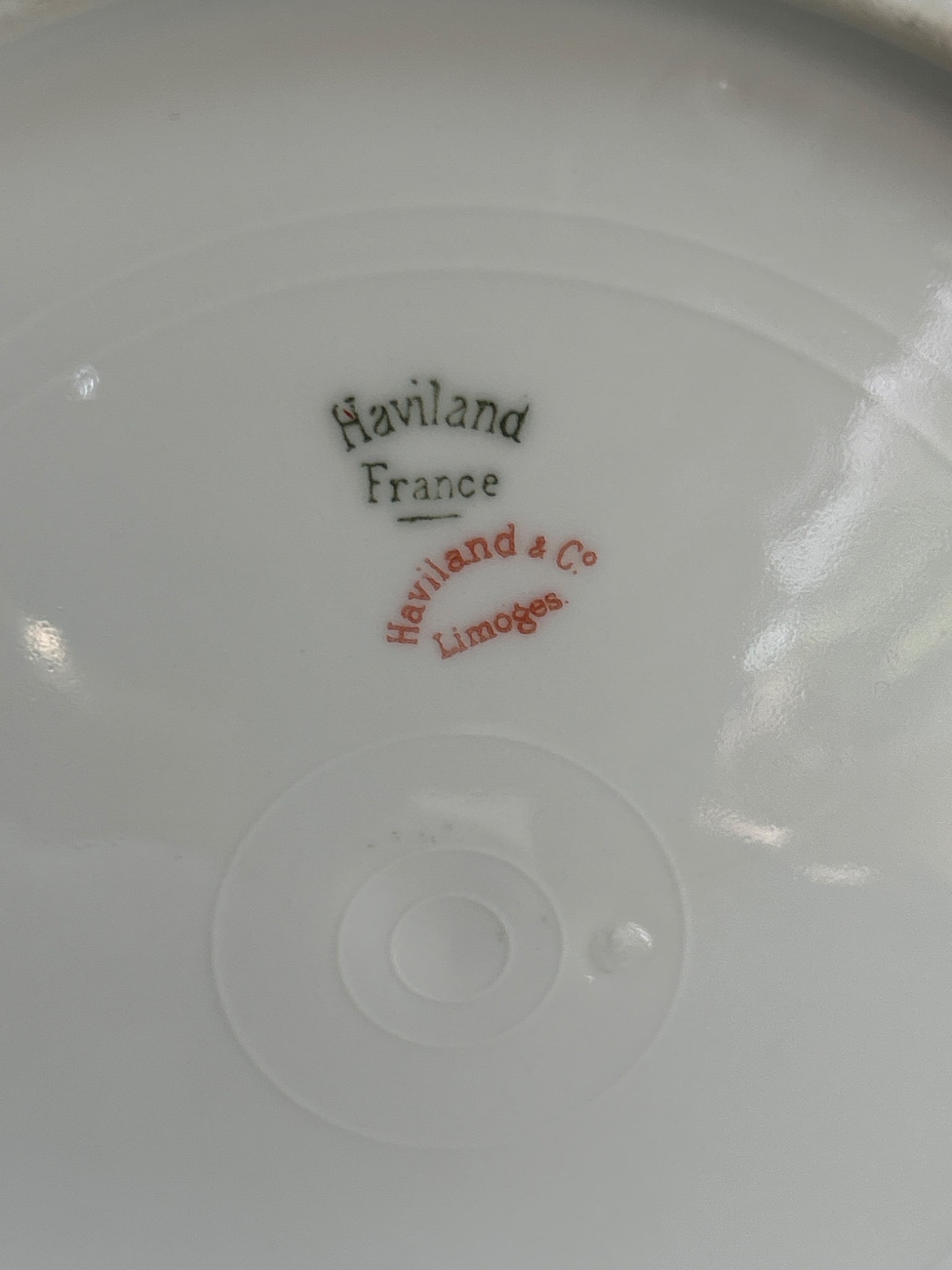 Haviland & Co. Limoges Plate with Gold Trim and Rose Garland Design - 3