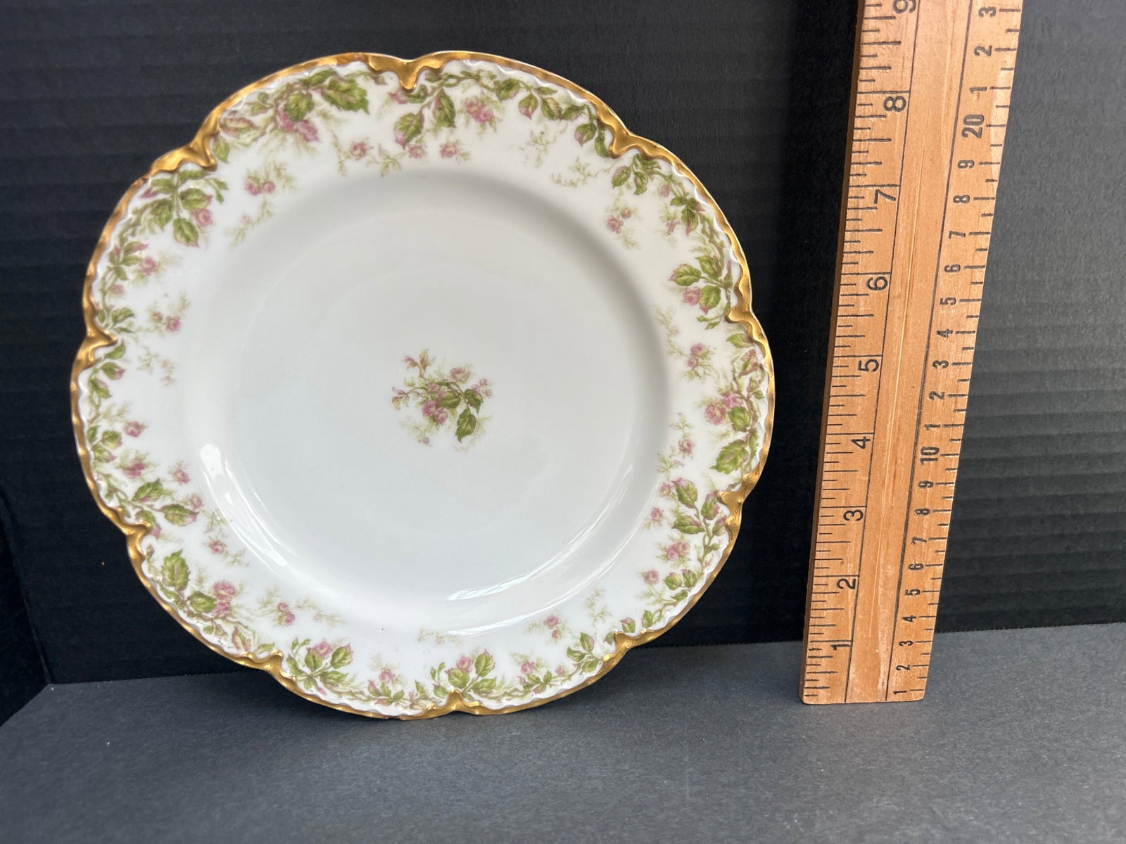 Haviland & Co. France Porcelain Plate With Mayer & Co. Mark: This porcelain plate is marked 'Haviland France' and 'Haviland & Co Limoges' on the back. It also bears the 'Mayer & Co.' retailer's mark. The plate has a floral design with a gold-toned rim and