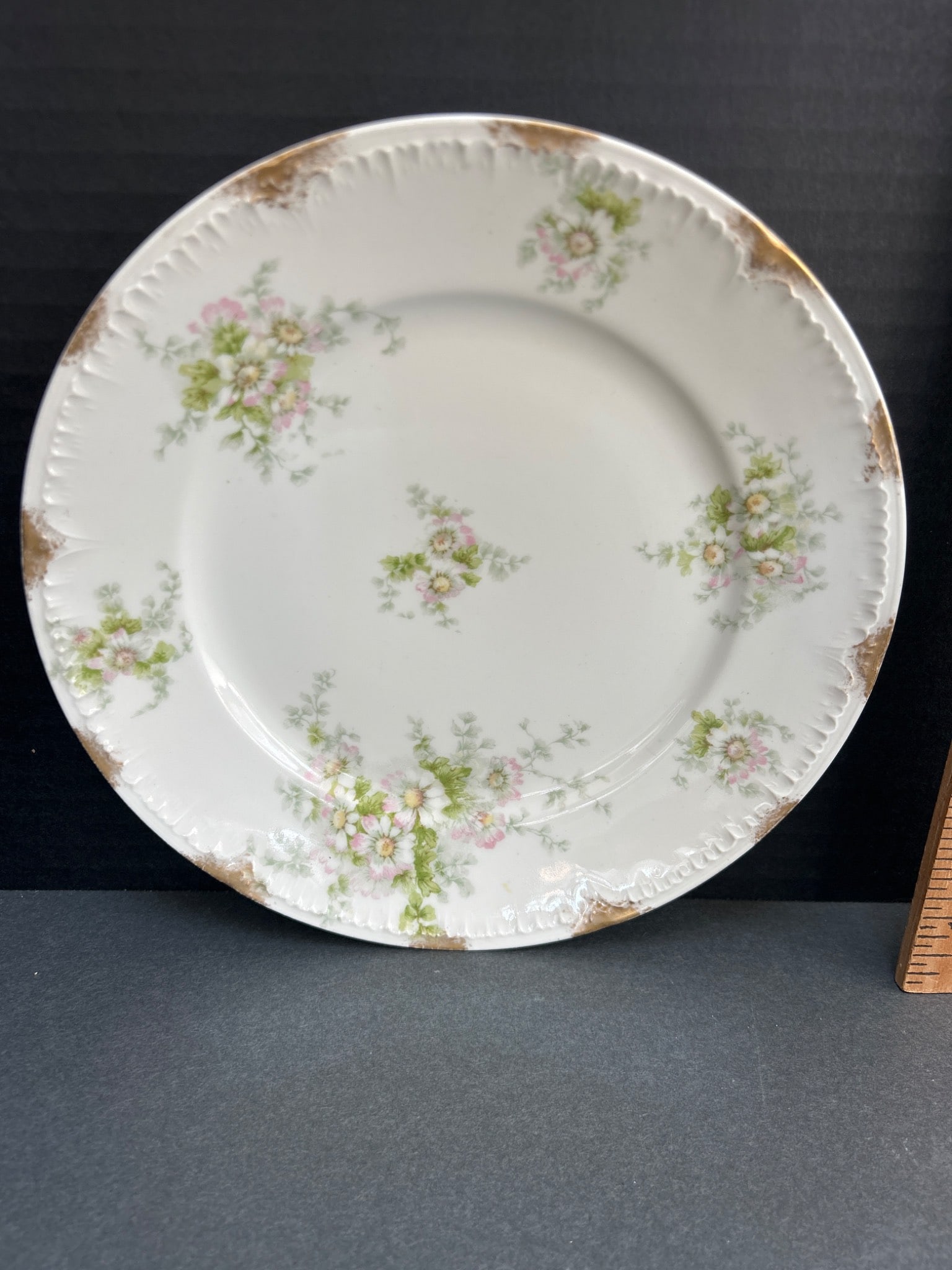 GDA Limoges Plate By Chas Mayer & Co, 8.5 Inches - 2