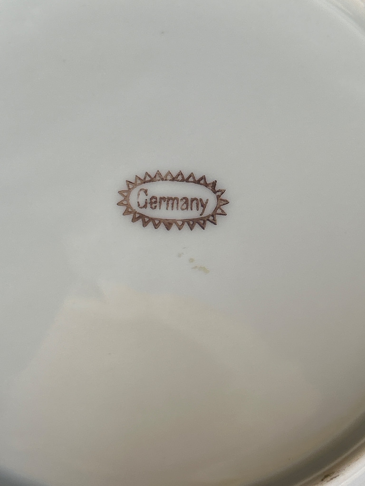 Porcelain Plate with Grape Design, Marked 'Germany', 7.5-Inch Diameter - 4