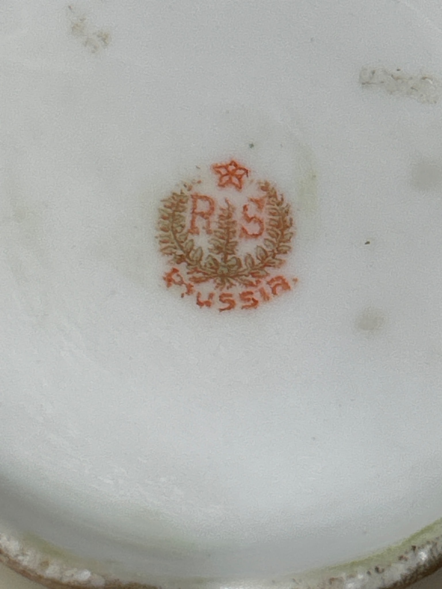 RS Prussia Porcelain Creamer with Hand-Painted Floral Design - 6