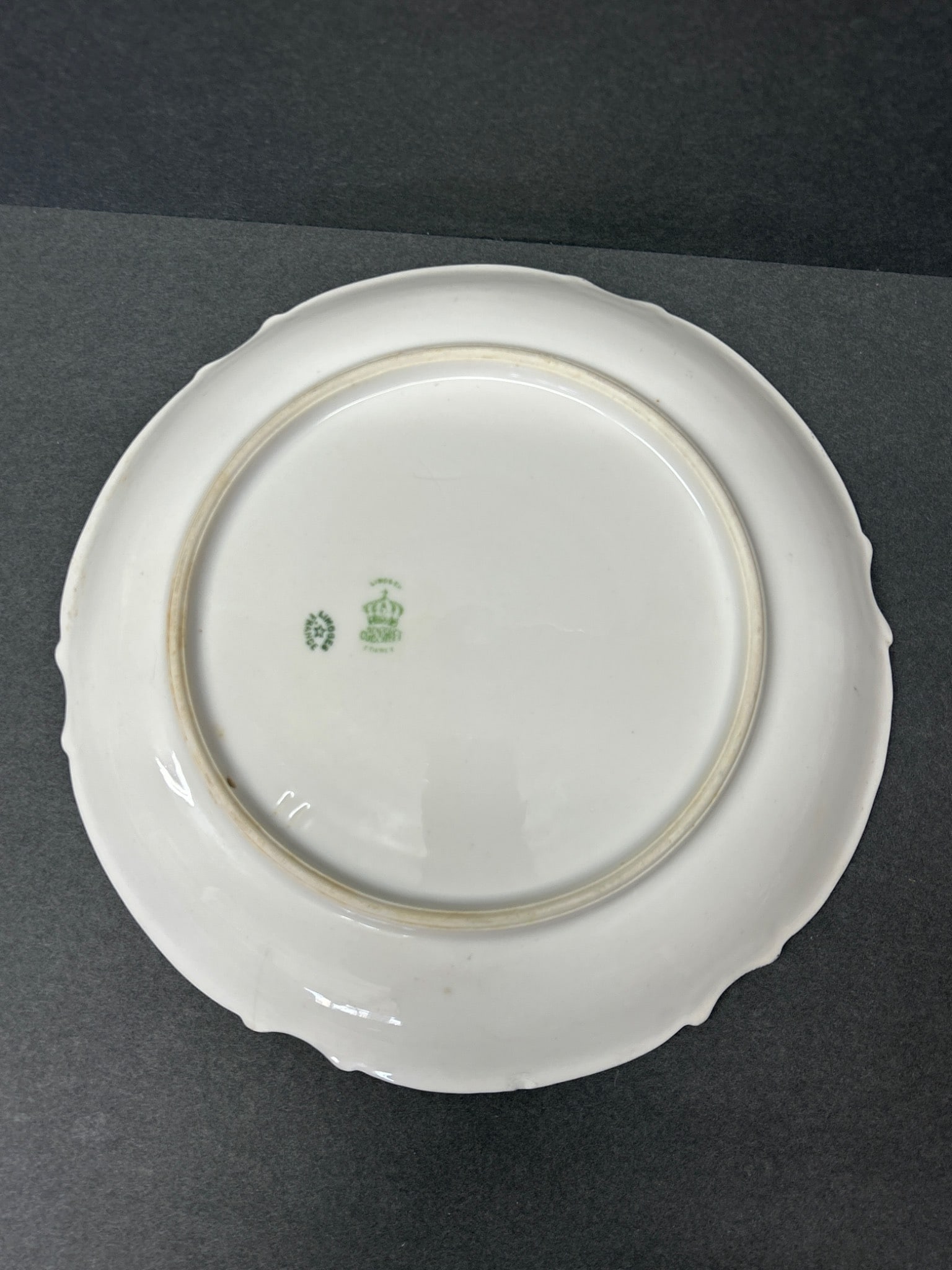 Limoges France C. Ahrenfeldt Handpainted Plate with Wild Boar Design - 4