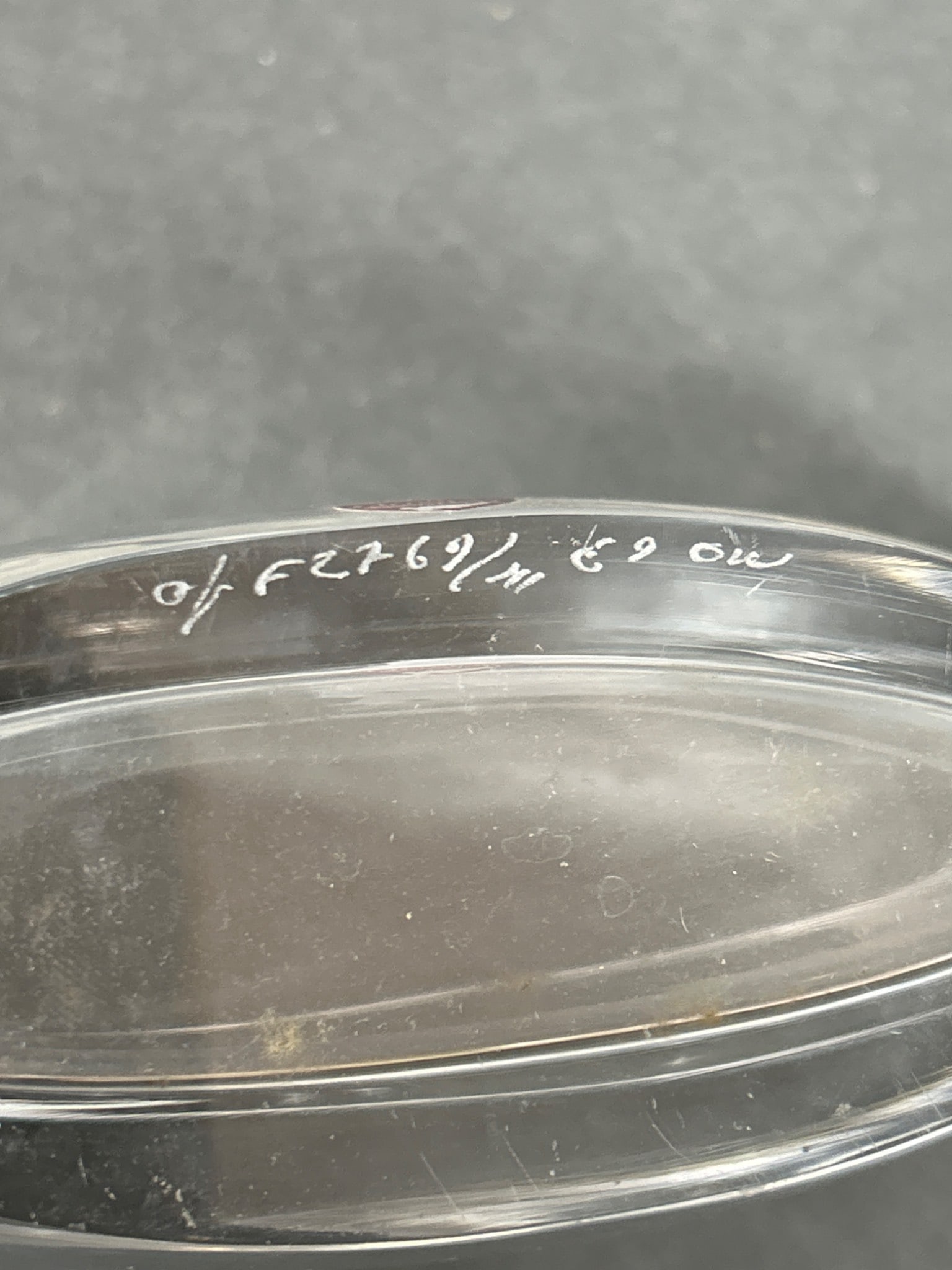 Orrefors Sweden Etched Glass Bowl, Model No. 2769 - 7