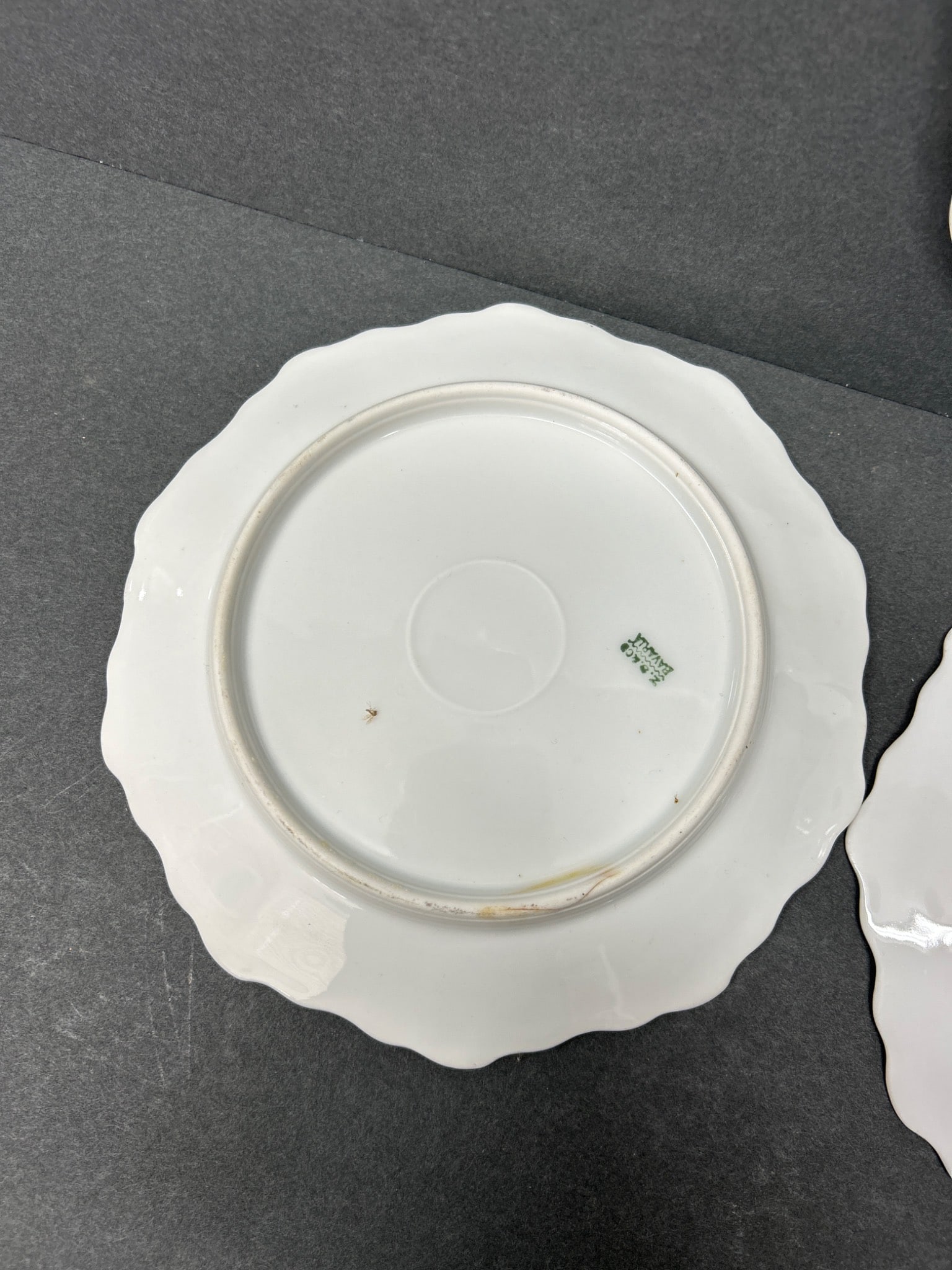 6 Z.S. & Co Bavaria Porcelain Plates with Grapevine Design - 13