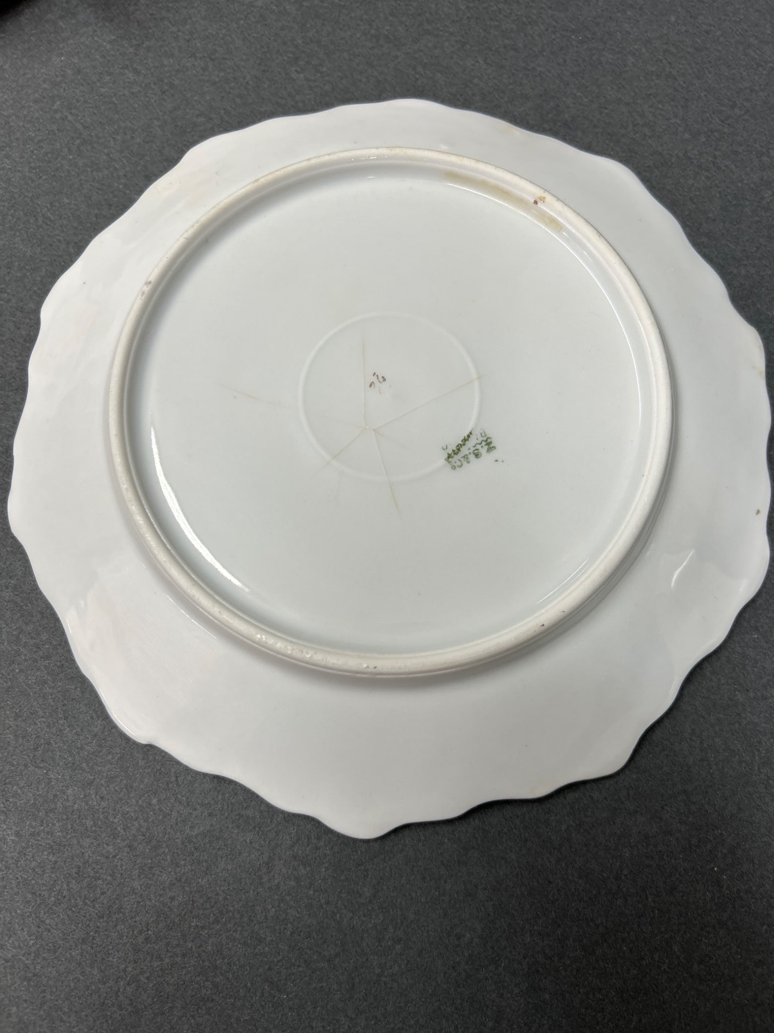 6 Z.S. & Co Bavaria Porcelain Plates with Grapevine Design - 14