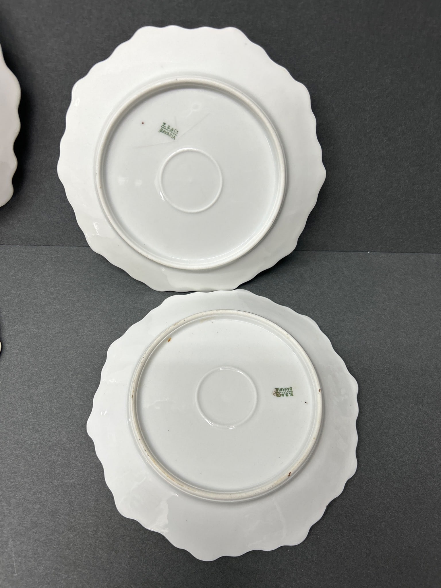 6 Z.S. & Co Bavaria Porcelain Plates with Grapevine Design - 9
