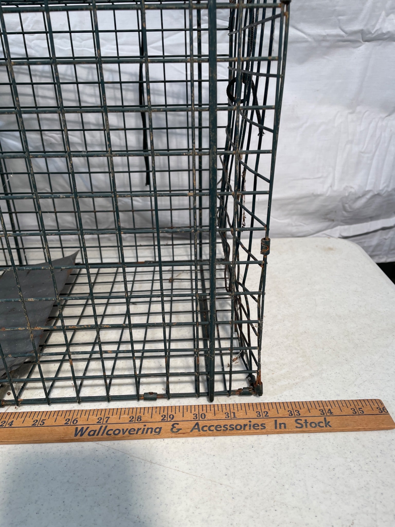 Metal Live Animal Trap With Wire Construction and Spring Mechanism - 2