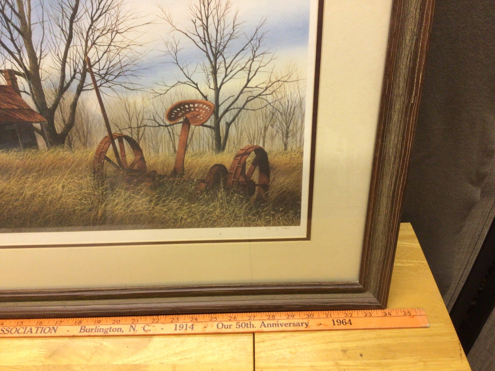 Framed Limited Edition Print Signed and Numbered by Artist - 4