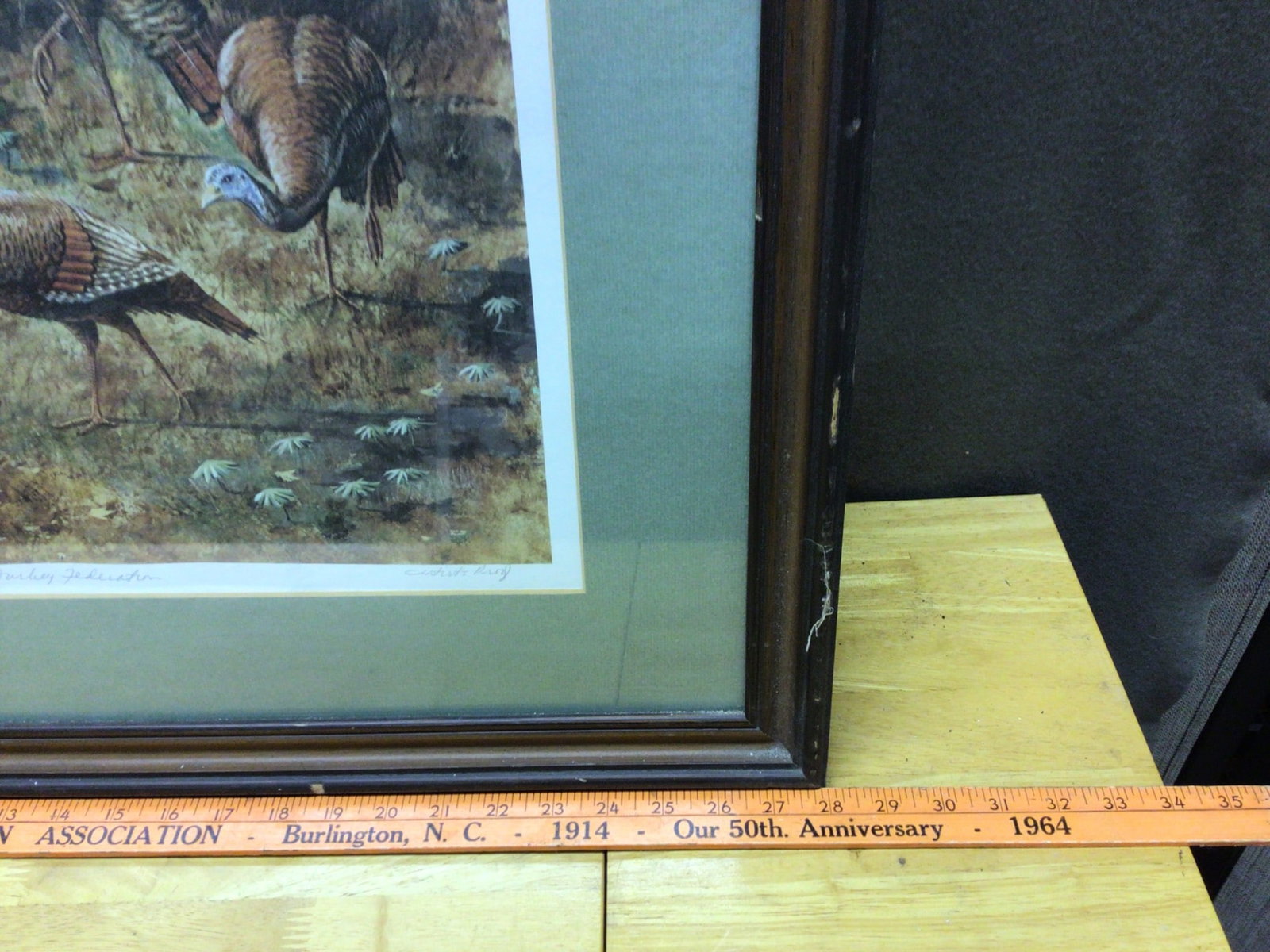 Framed Print Titled 'National Wild Turkey Federation' by Artist Albert Hugues - 2