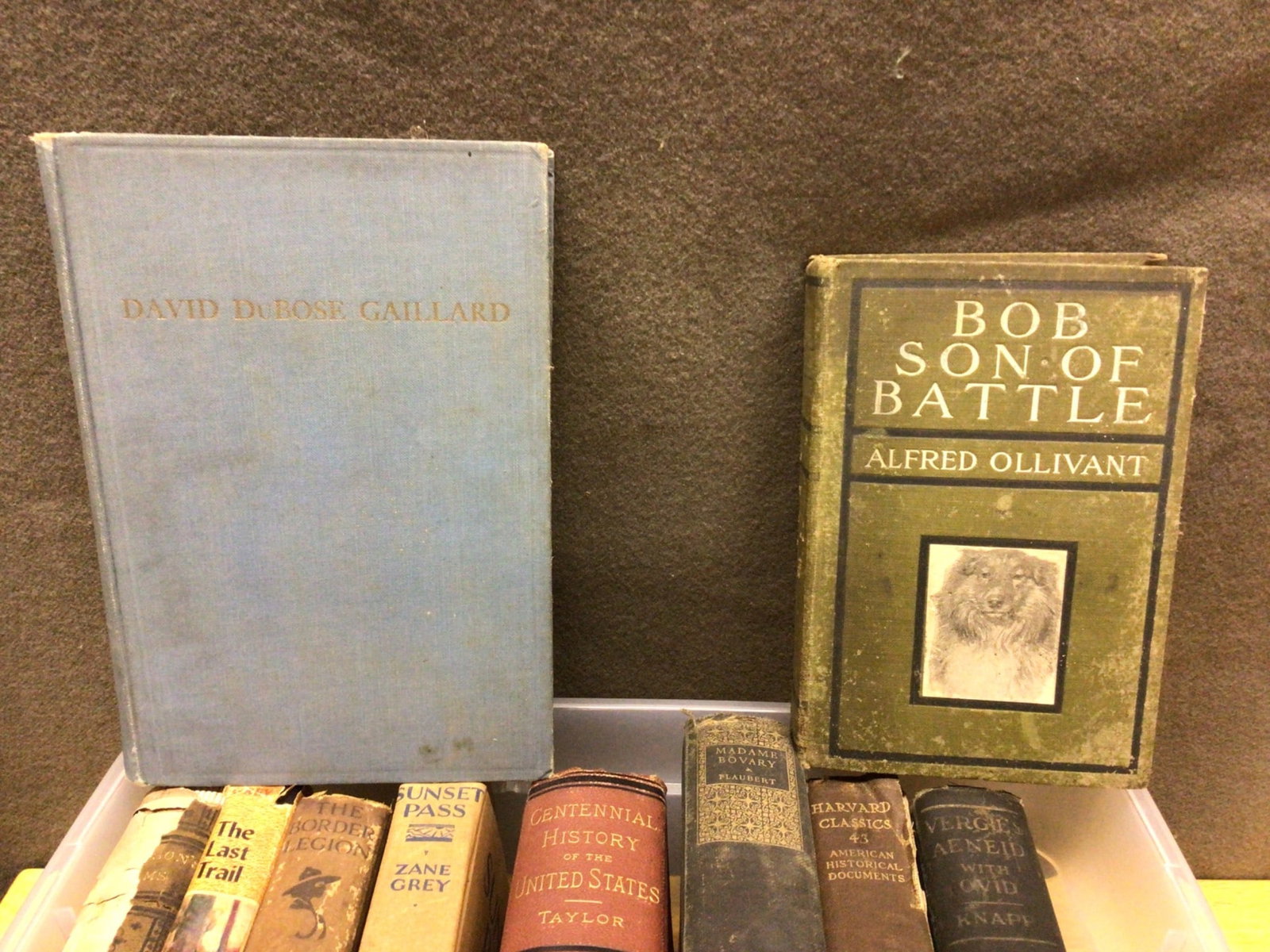 Books by Various Authors Including Zane Grey and Alfred Ollivant - 2