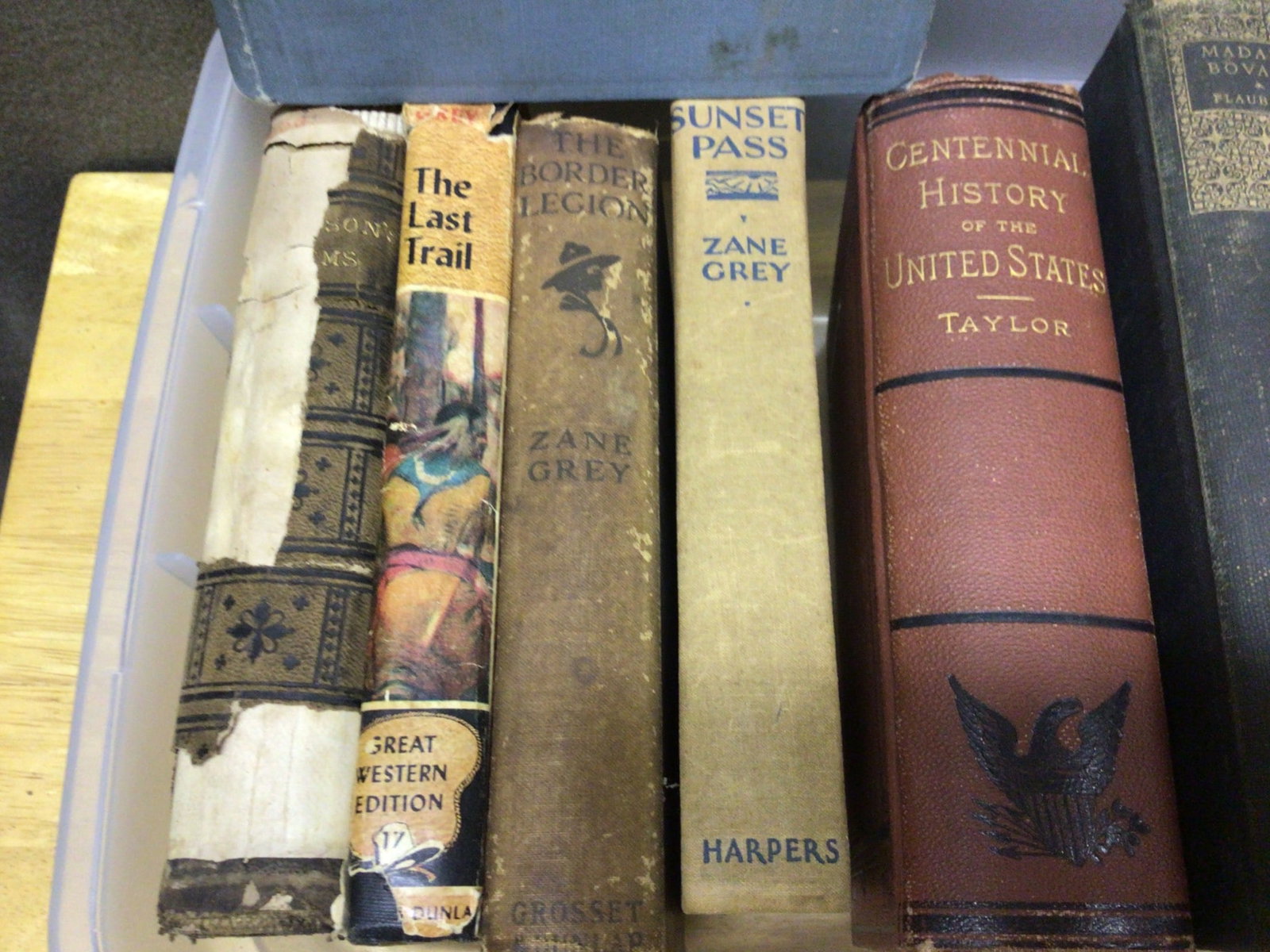 Books by Various Authors Including Zane Grey and Alfred Ollivant - 3