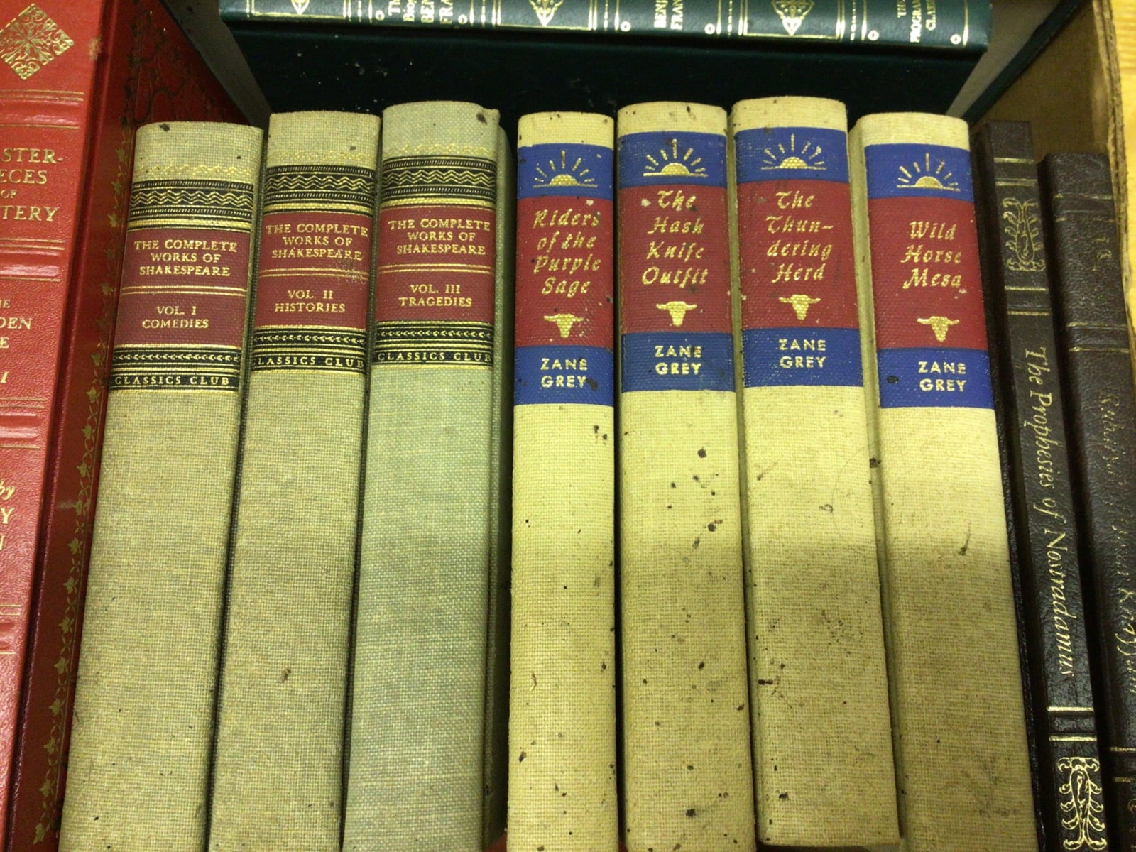 Literature and Classics with Faux-Leather and Cloth Bindings - 6