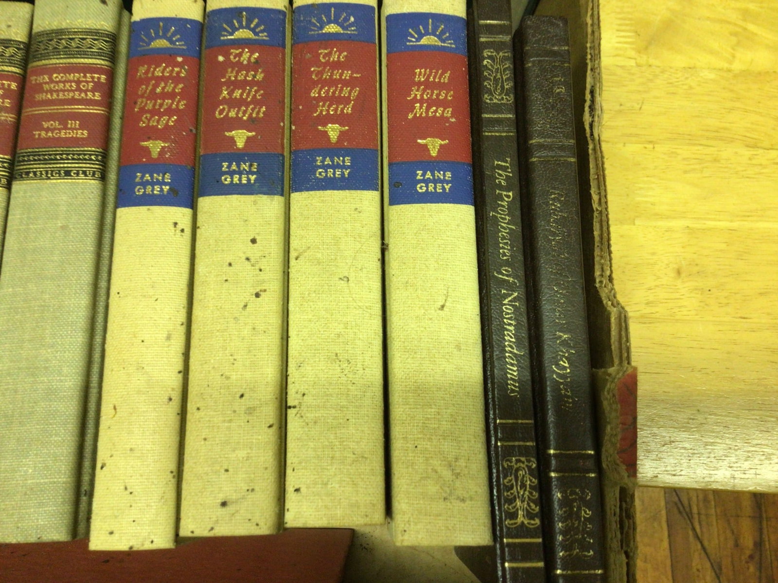 Literature and Classics with Faux-Leather and Cloth Bindings - 7
