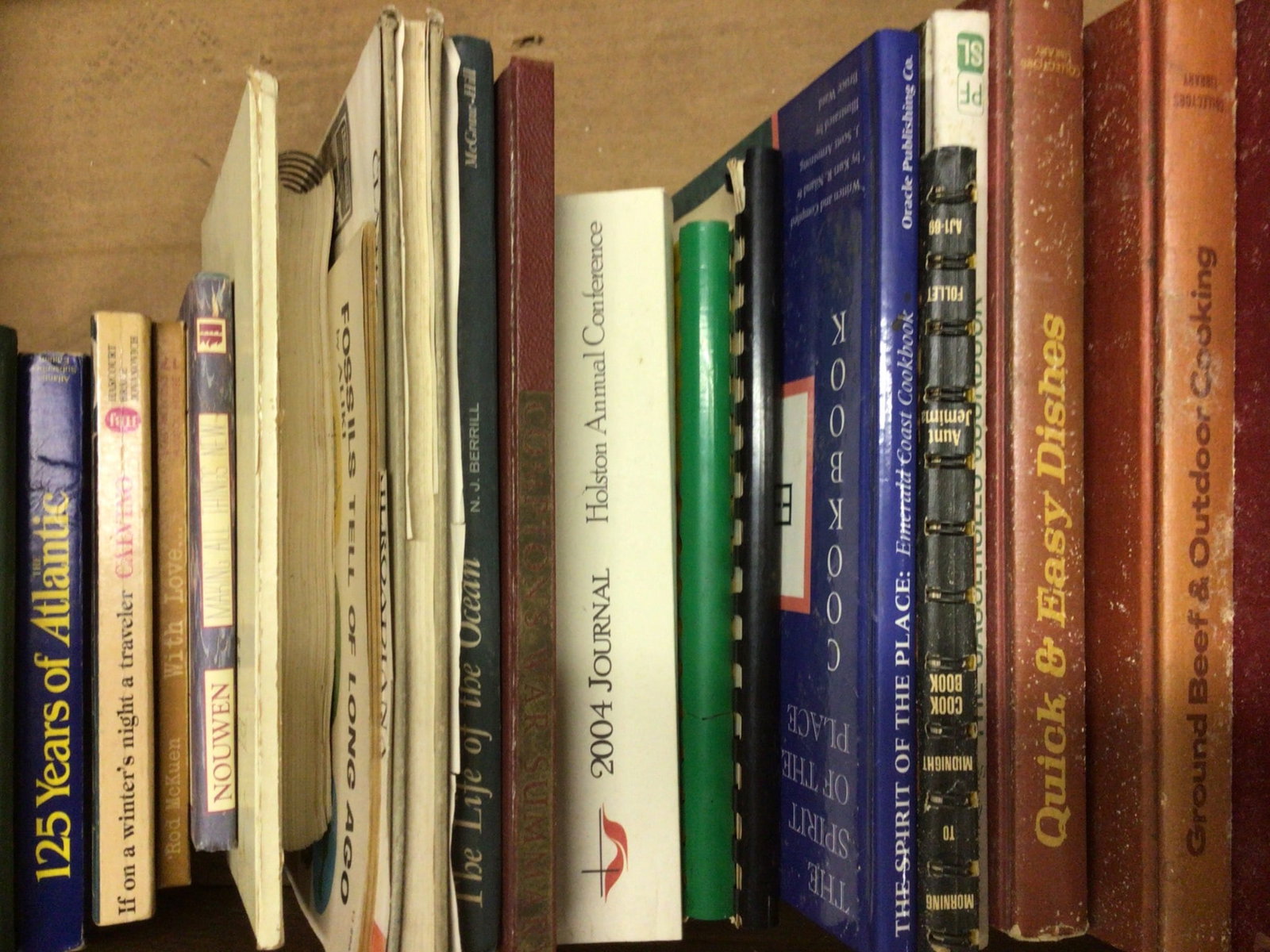 Books Covering Cooking, Fiction, and Historical Topics - 3