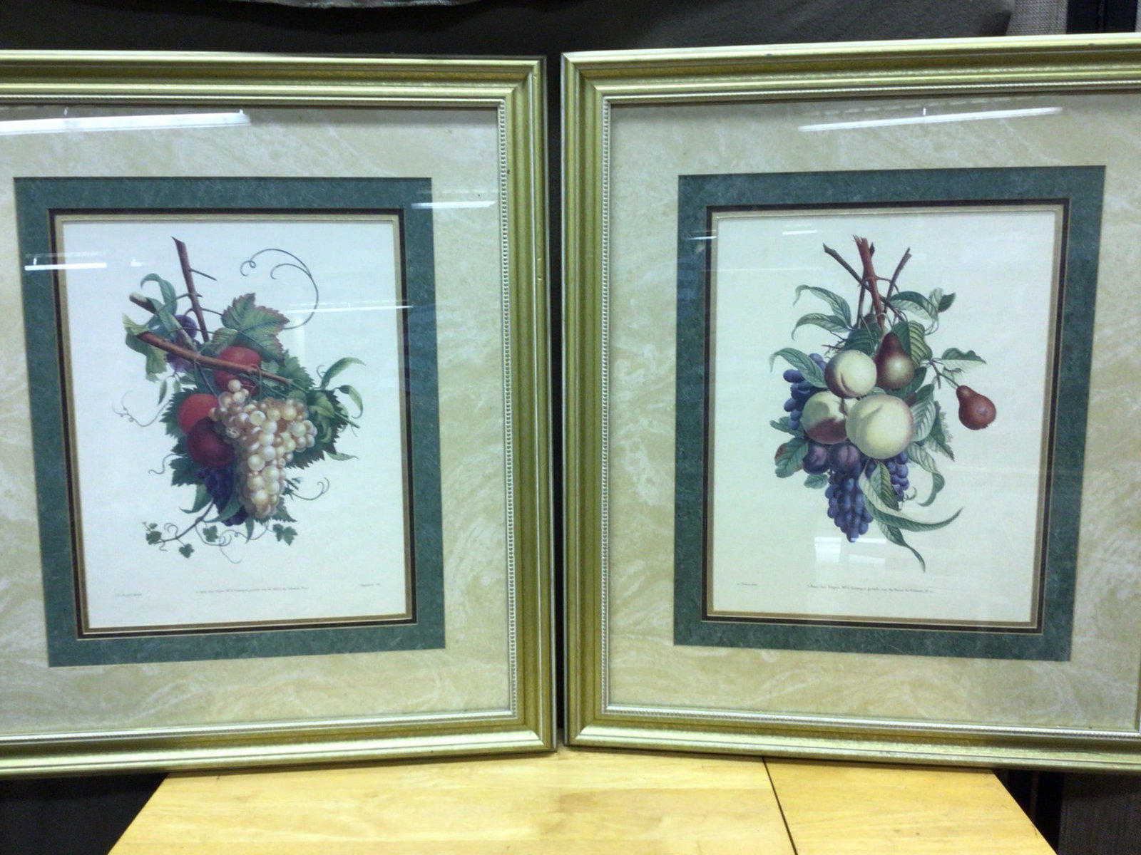 J.L. Prevost Botanical Prints Set of Two, Framed: Two framed botanical prints by J.L. Prevost, featuring fruit arrangements with grapes, pears, and other fruits. Inscribed 'J.L. Prevost pinx.' and details of publication location in Paris. Frames