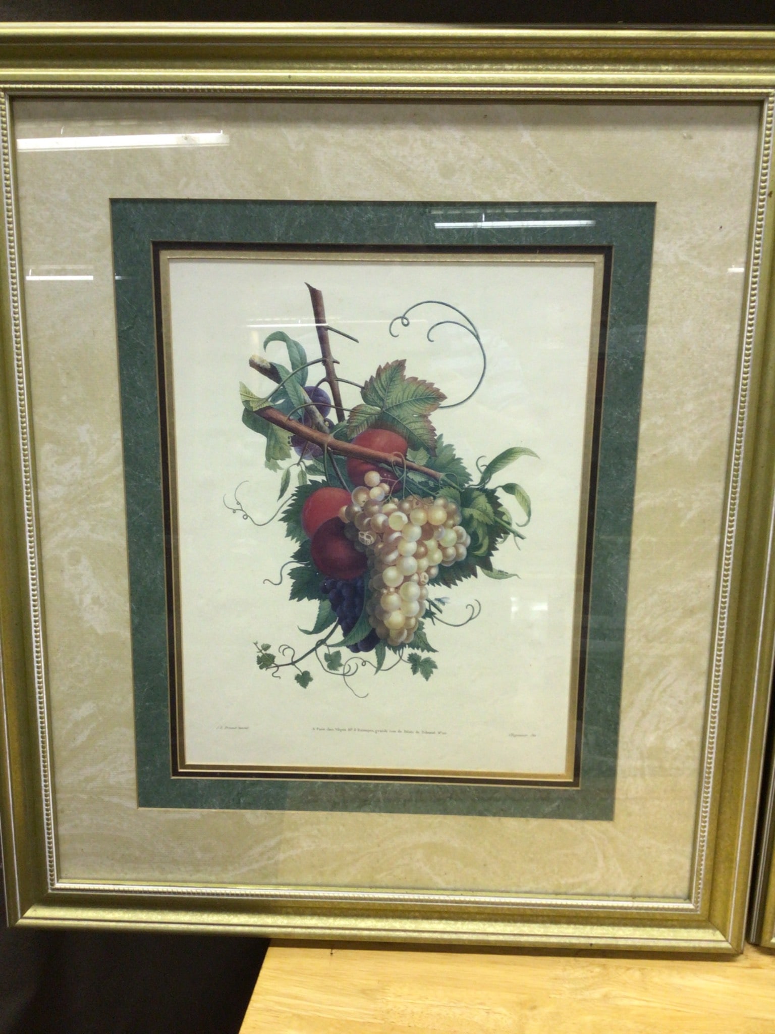 J.L. Prevost Botanical Prints Set of Two, Framed - 2