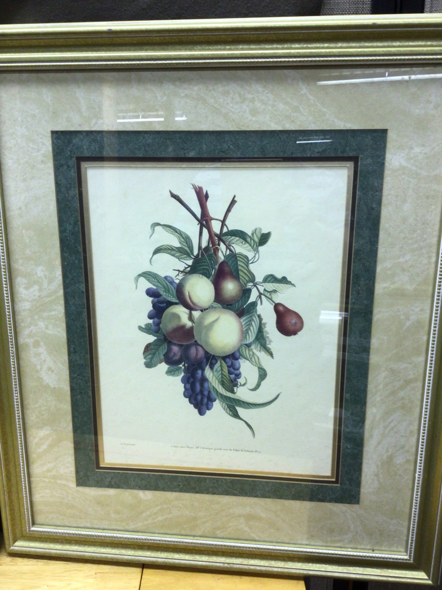 J.L. Prevost Botanical Prints Set of Two, Framed - 3