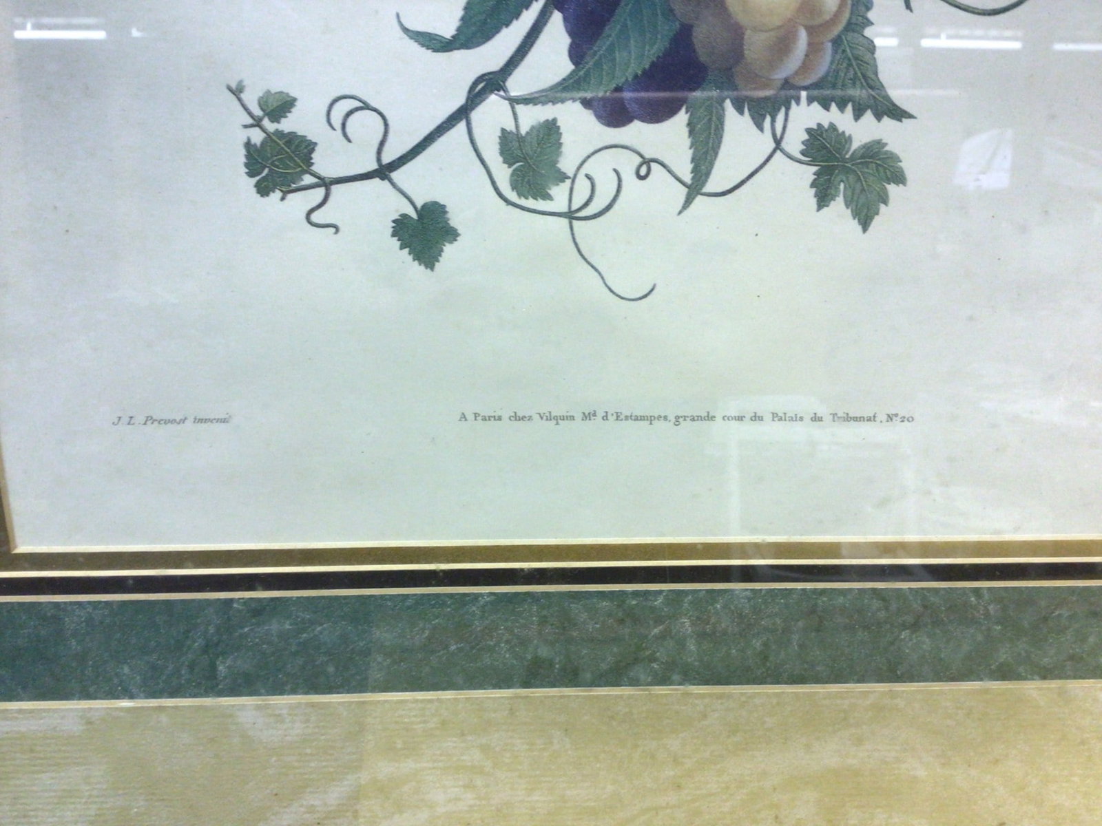 J.L. Prevost Botanical Prints Set of Two, Framed - 4