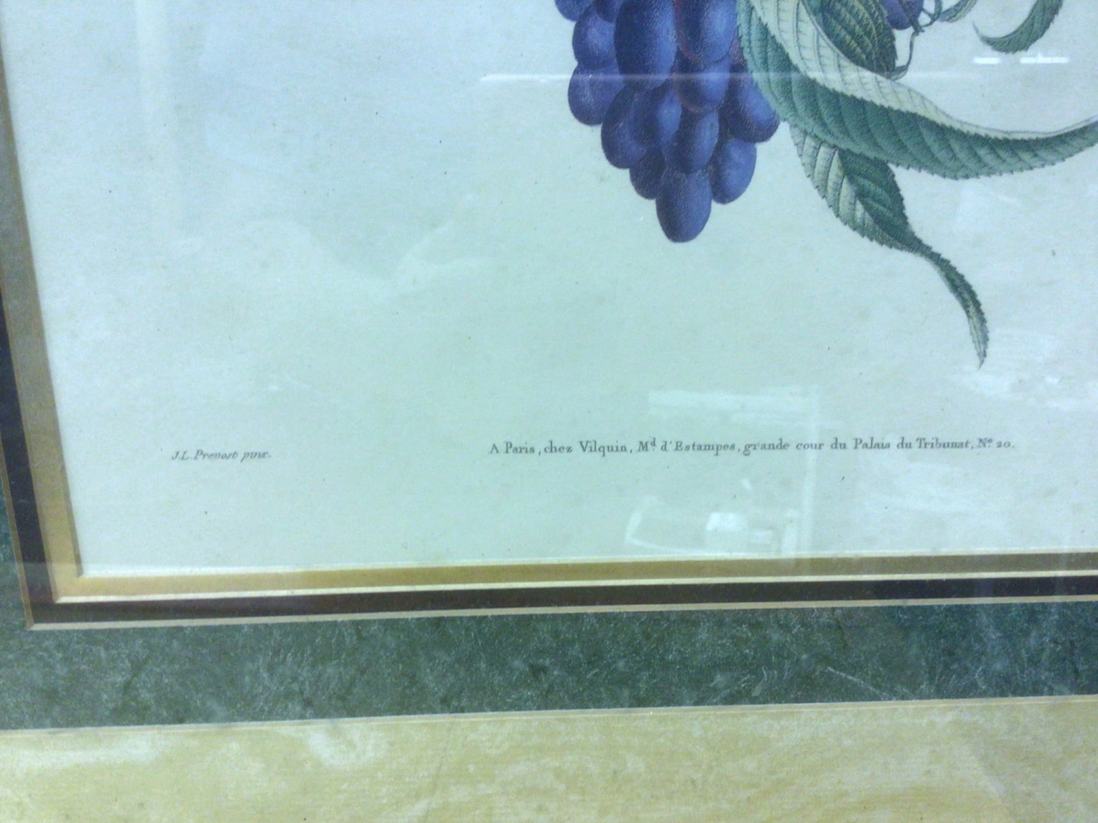J.L. Prevost Botanical Prints Set of Two, Framed - 5