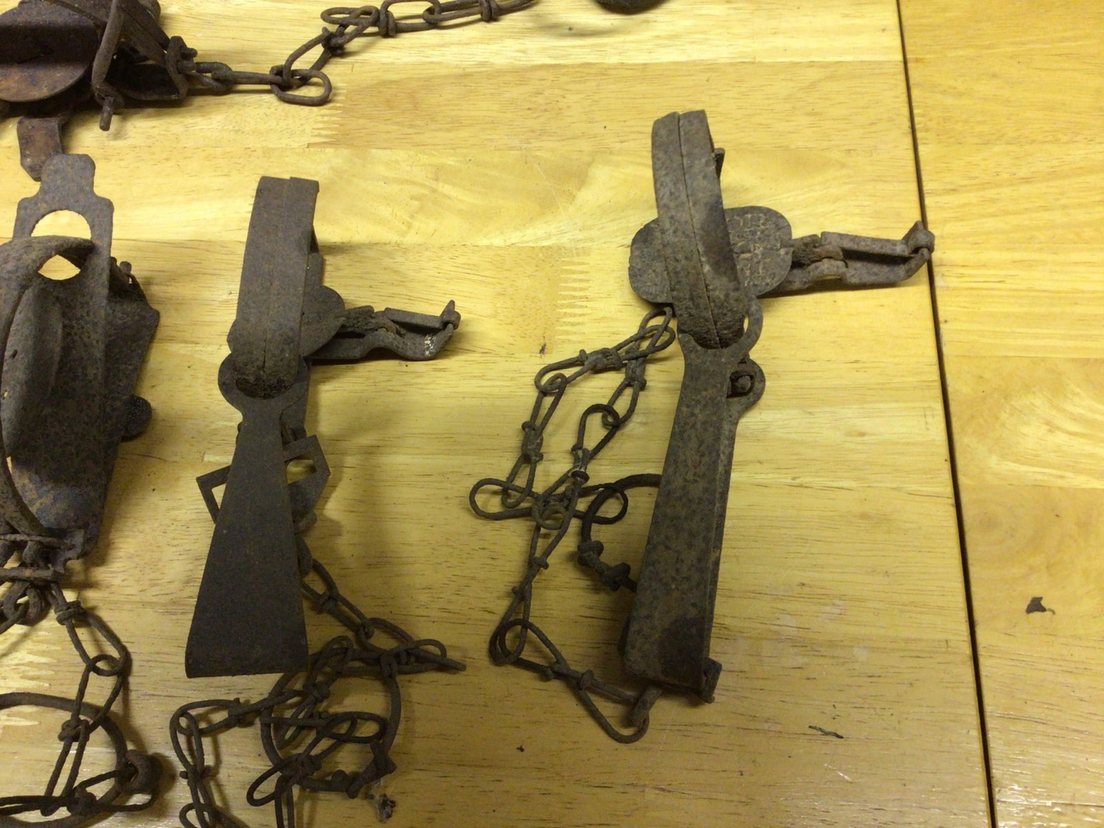 Metal Animal Traps with Chains and Stake, Various Designs and Sizes - 2