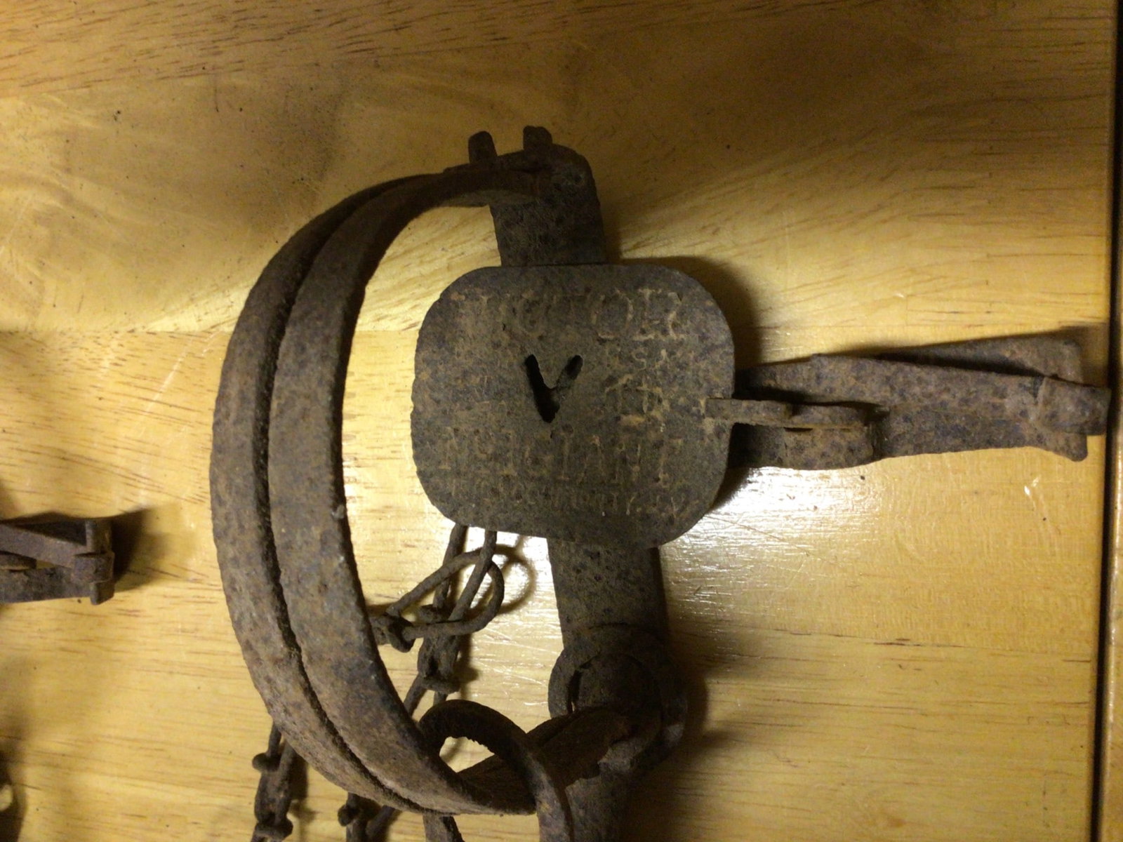 Metal Animal Traps with Chains and Stake, Various Designs and Sizes - 3