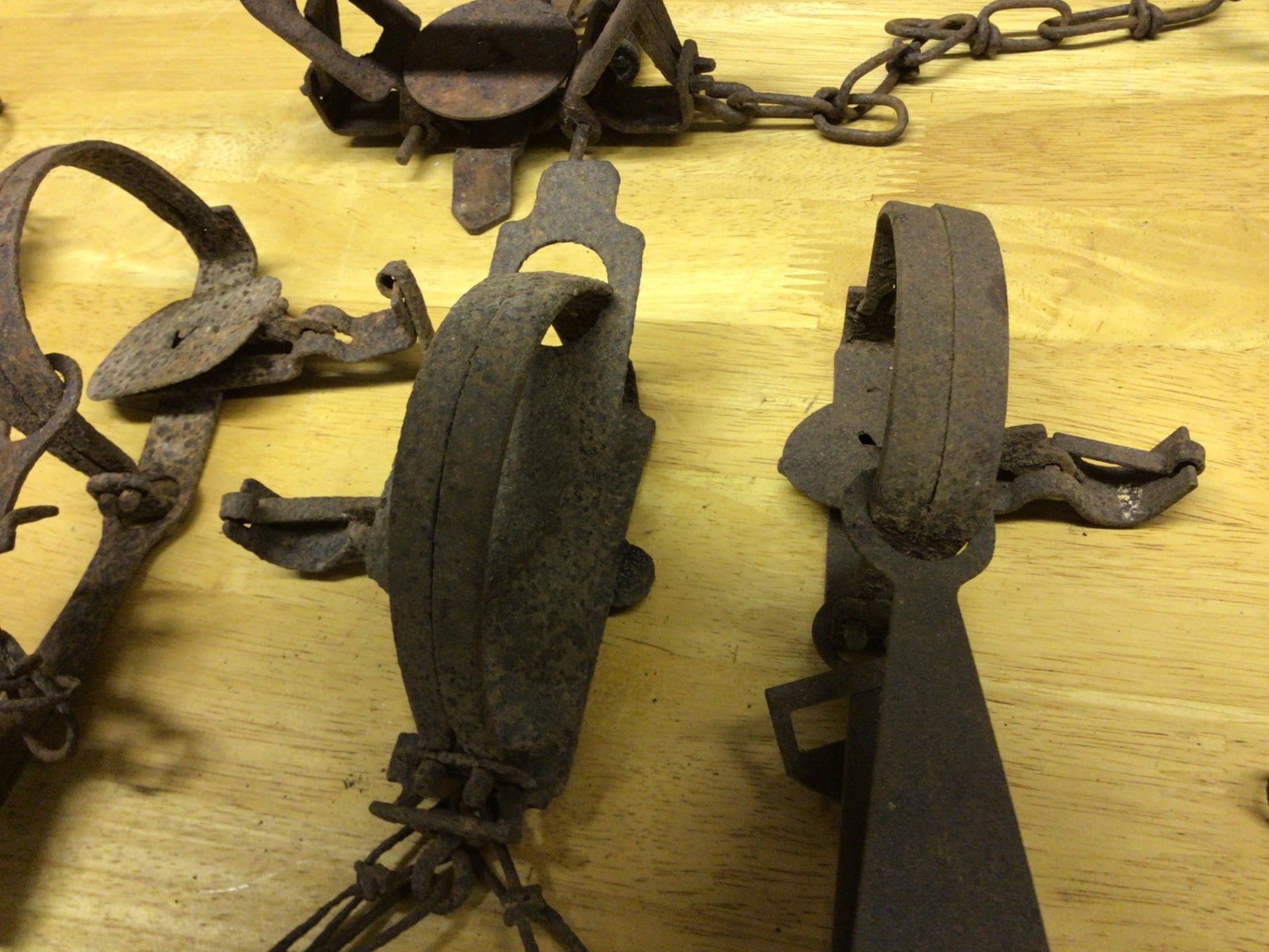 Metal Animal Traps with Chains and Stake, Various Designs and Sizes - 5