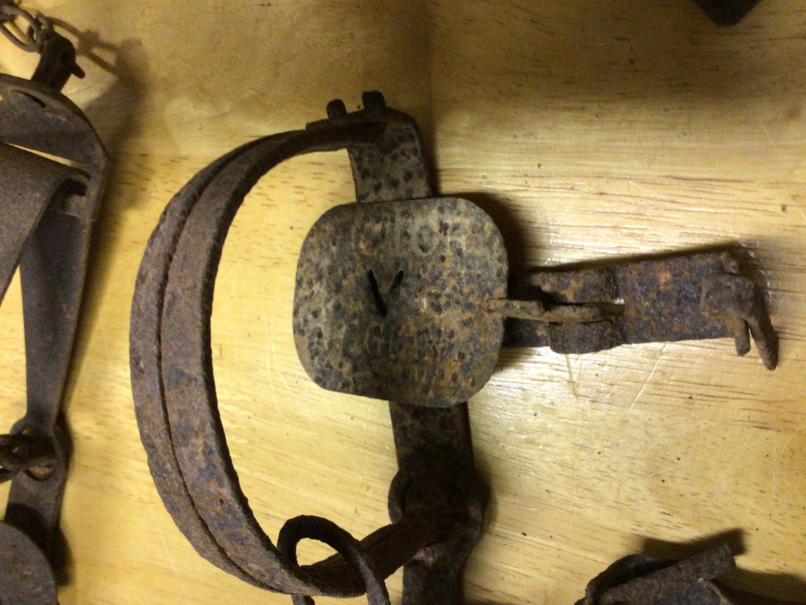 Metal Animal Traps with Chains and Stake, Various Designs and Sizes - 6