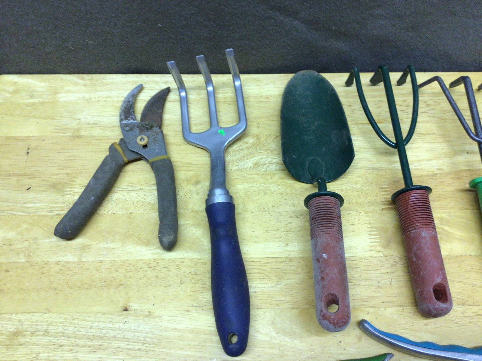 10 Garden Hand Tools Including Pruners, Trowels, and Hand Forks - 2