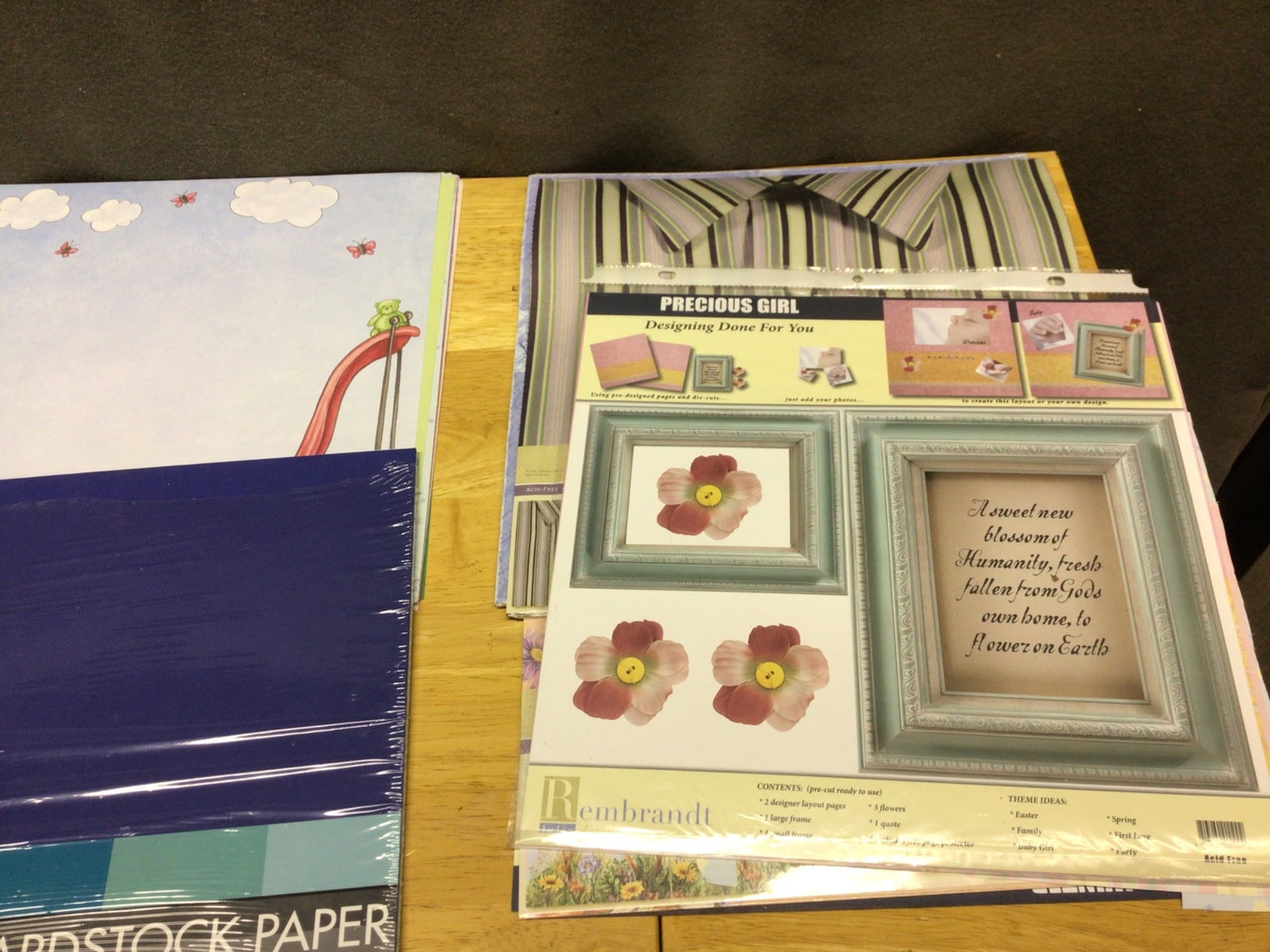 Designer Scrapbooking Paper and Cardstock Collection with Organizer - 2