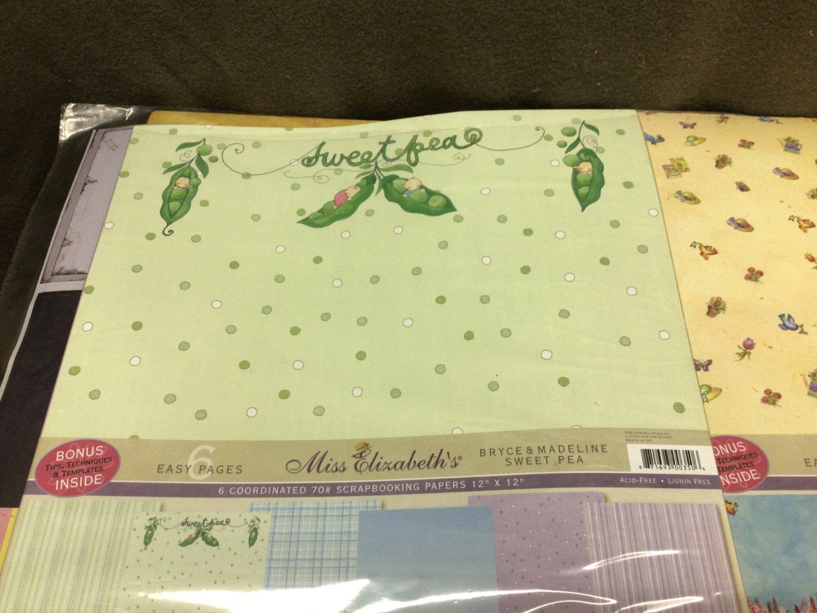 Designer Scrapbooking Paper and Cardstock Collection with Organizer - 4