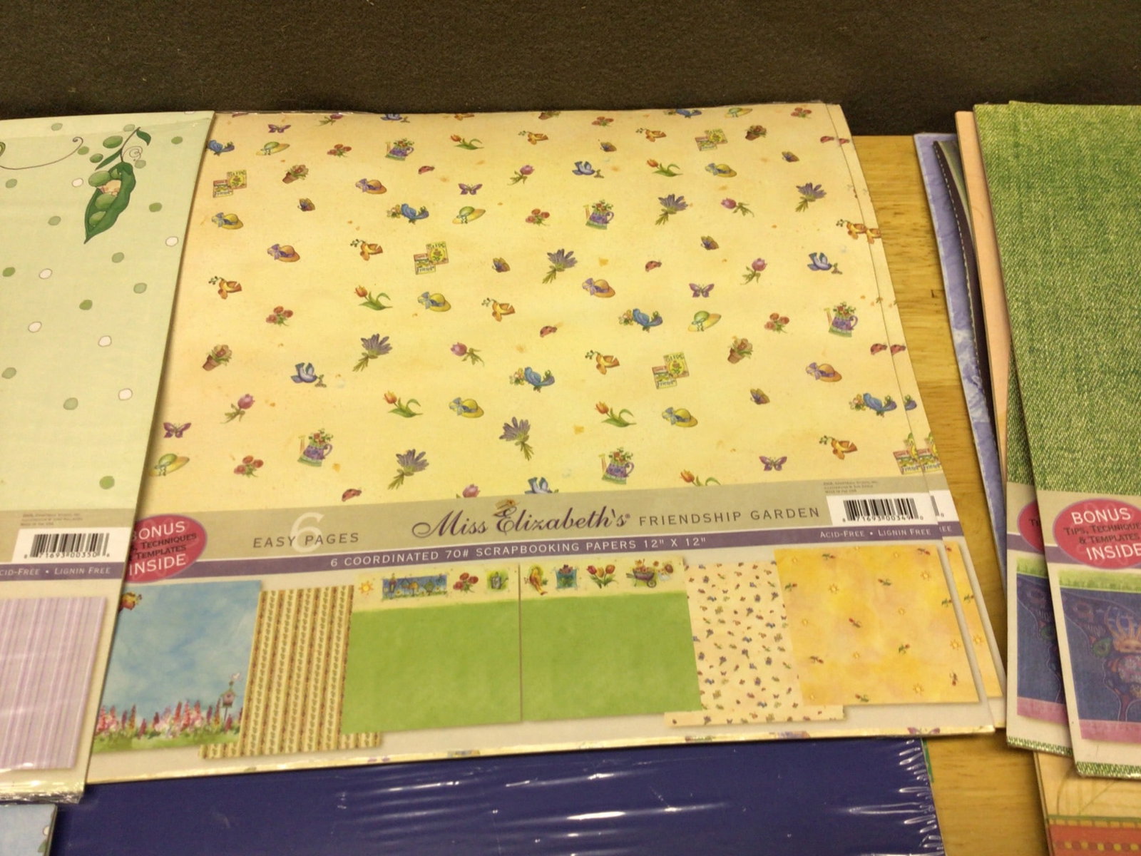 Designer Scrapbooking Paper and Cardstock Collection with Organizer - 5