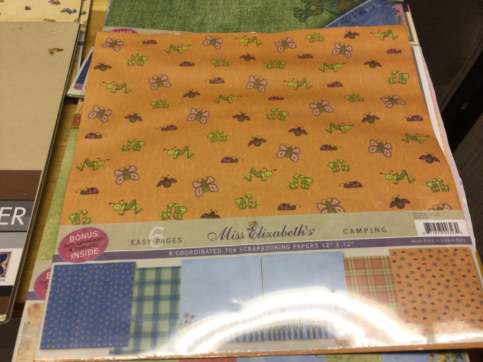 Designer Scrapbooking Paper and Cardstock Collection with Organizer - 9