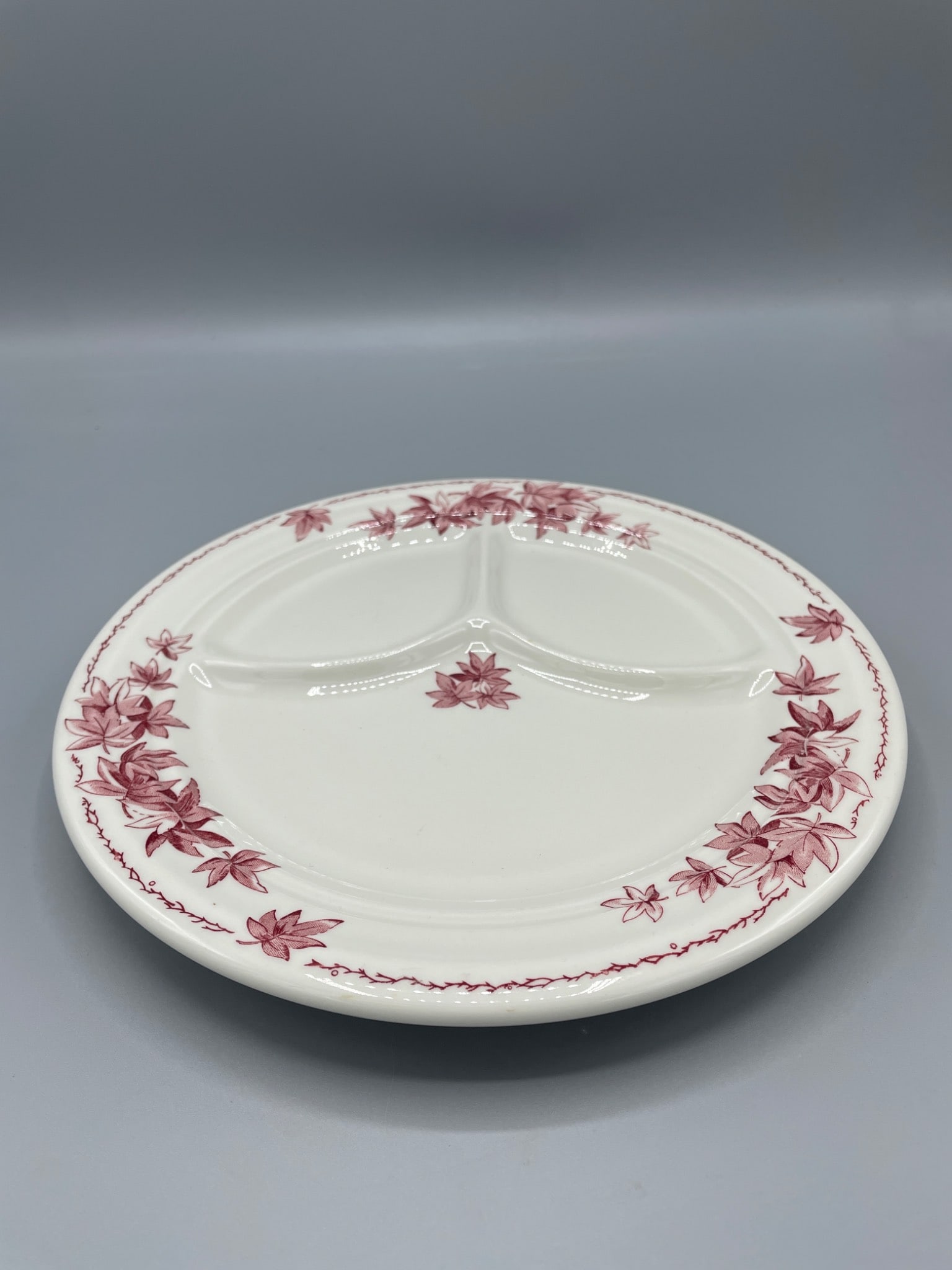 Shenango China RimRol WeiRoc Divided Plate, 8-14, Made in USA - 2