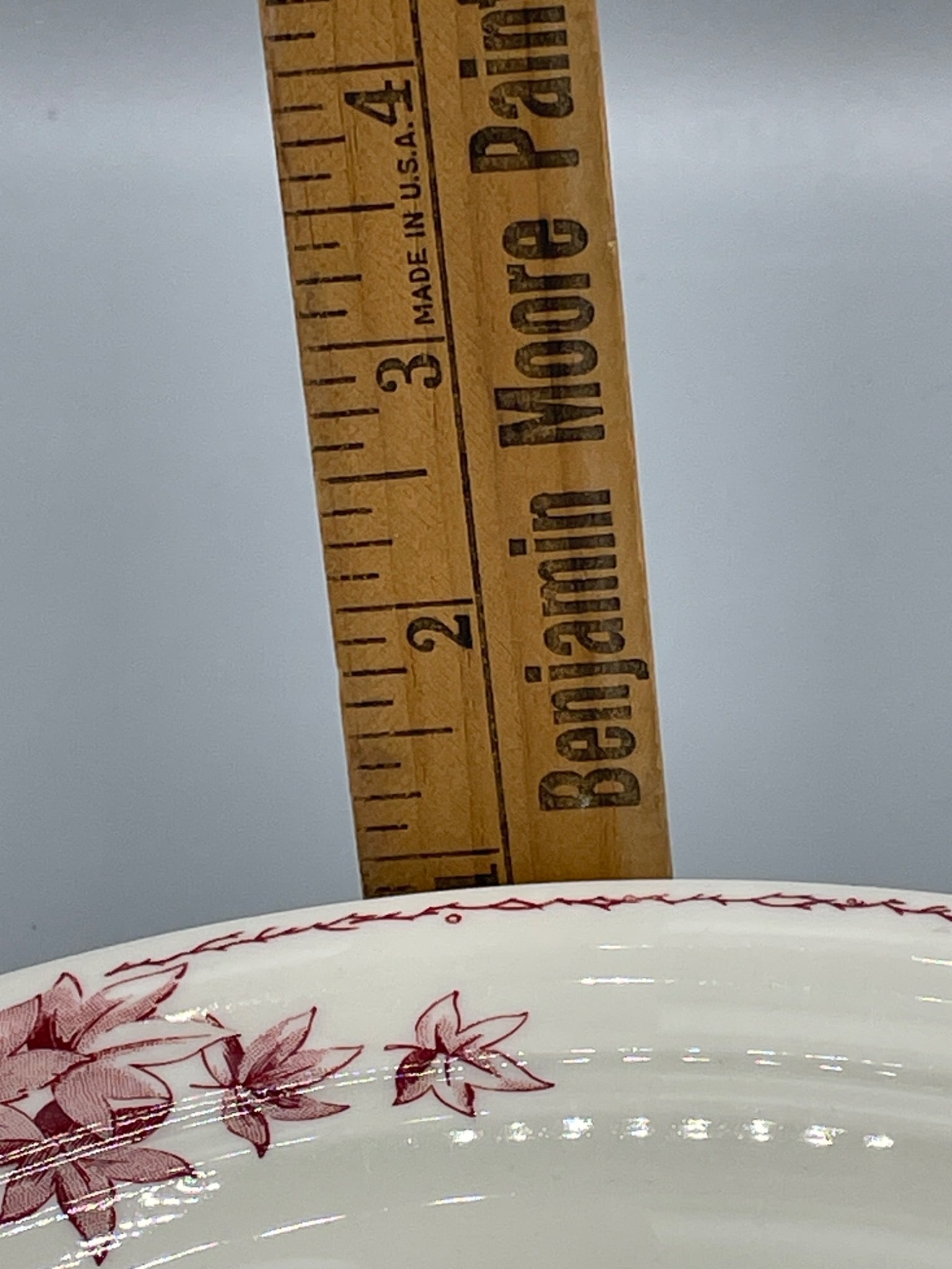 Shenango China RimRol WeiRoc Divided Plate, 8-14, Made in USA - 5