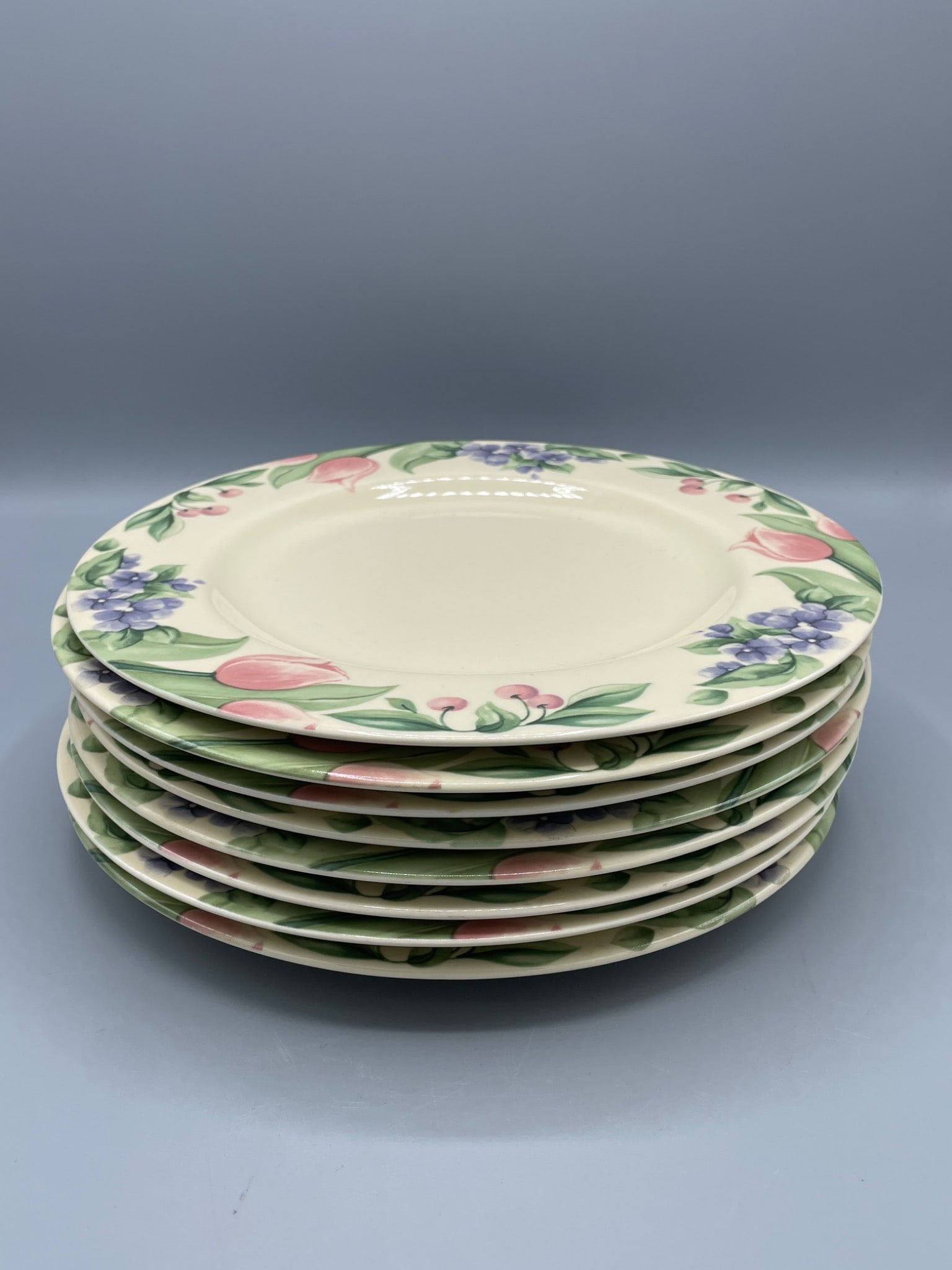 8 Pfaltzgraff Ceramic Dinner Plates with Floral Design (1 of 7)
