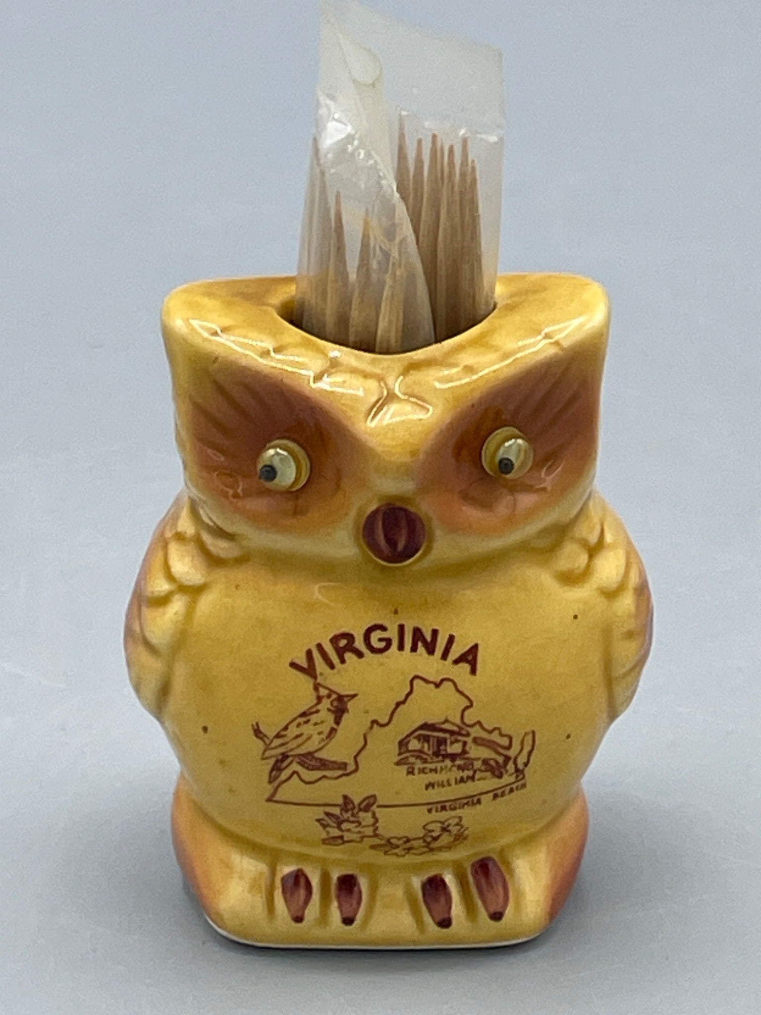 Ceramic Owl Toothpick Holder Featuring Virginia State Landmarks (1 of 5)