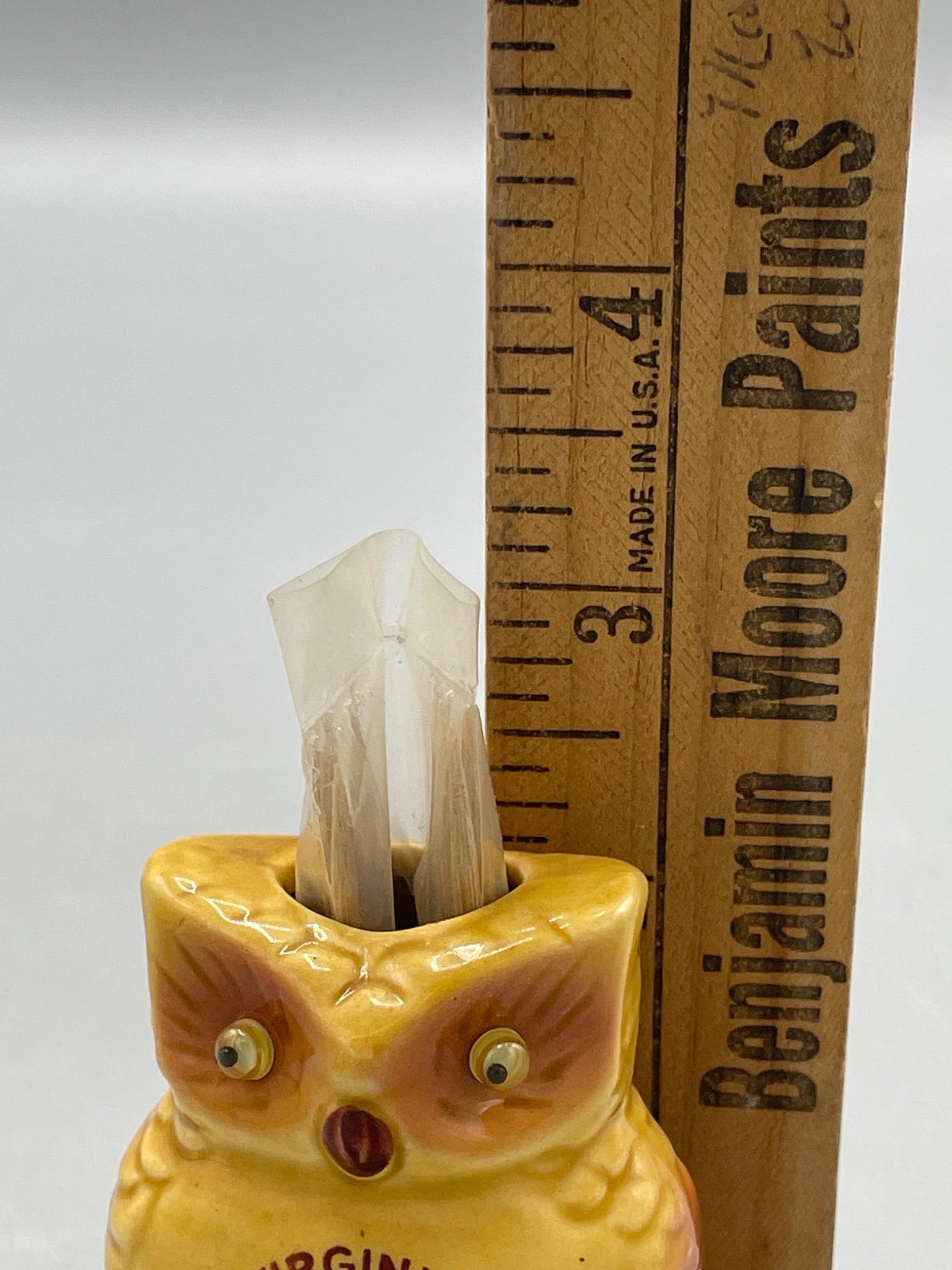 Ceramic Owl Toothpick Holder Featuring Virginia State Landmarks - 5