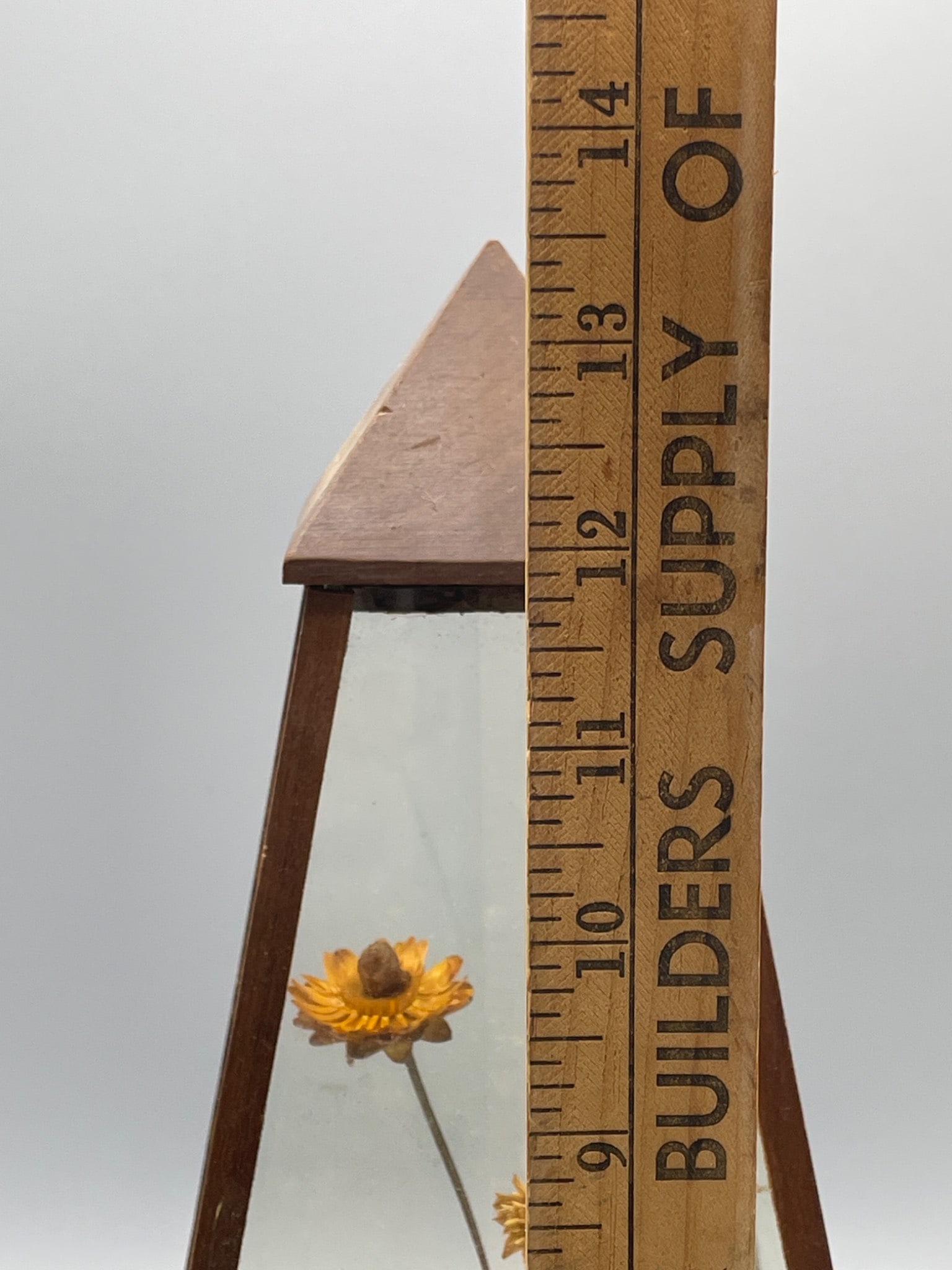 Wooden Pyramid Glass Display Case With Dried Flowers - 6