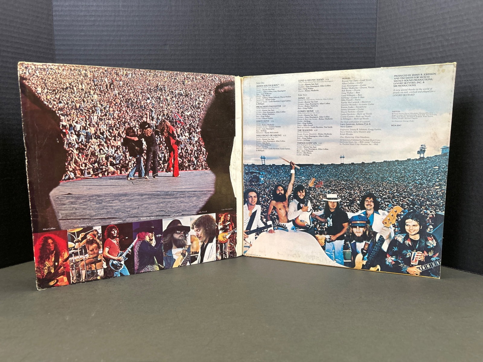 Lynyrd Skynyrd 'Skynyrd's First And... Last' Vinyl Record Album - 3