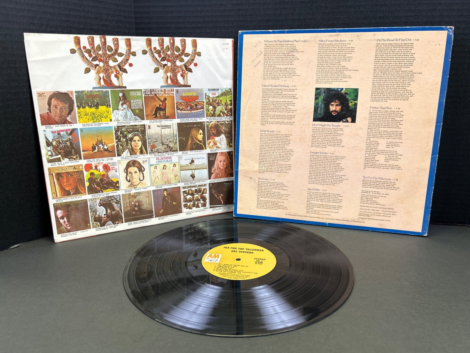 Cat Stevens Tea for the Tillerman Vinyl LP Album with Jacket and Sleeve - 2